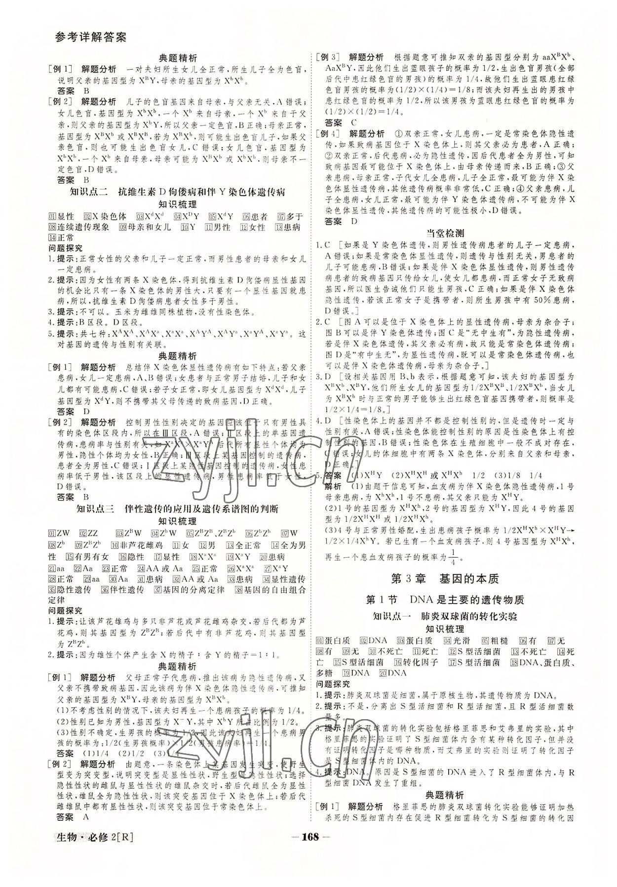 2022年金版教程高中新课程创新导学案生物必修2 参考答案第8页