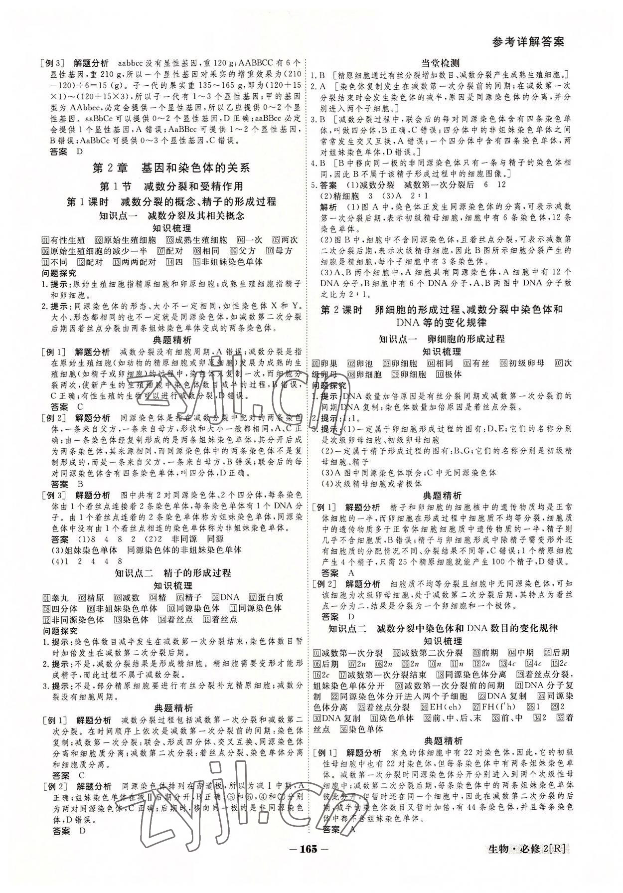 2022年金版教程高中新课程创新导学案生物必修2 参考答案第5页