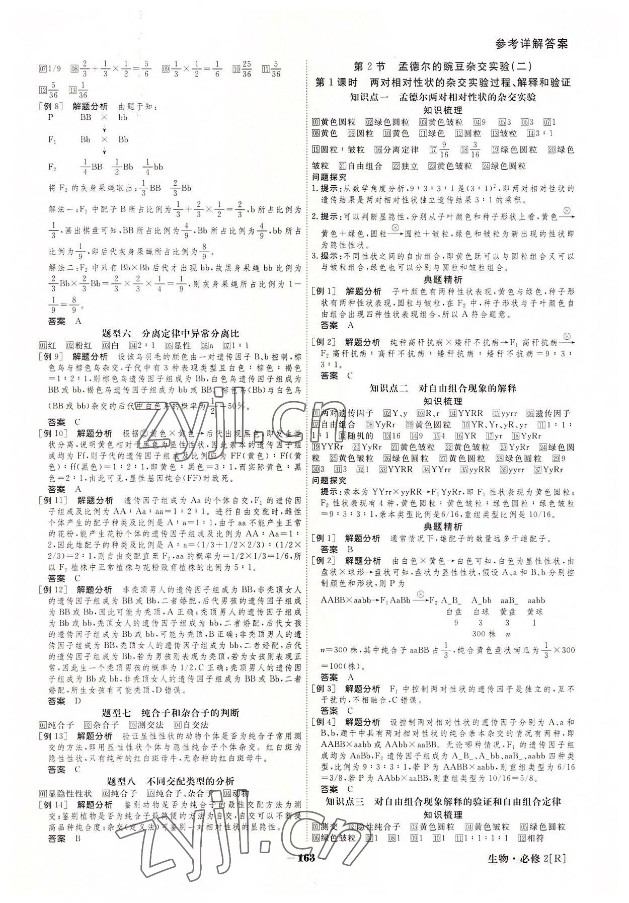 2022年金版教程高中新课程创新导学案生物必修2 参考答案第3页