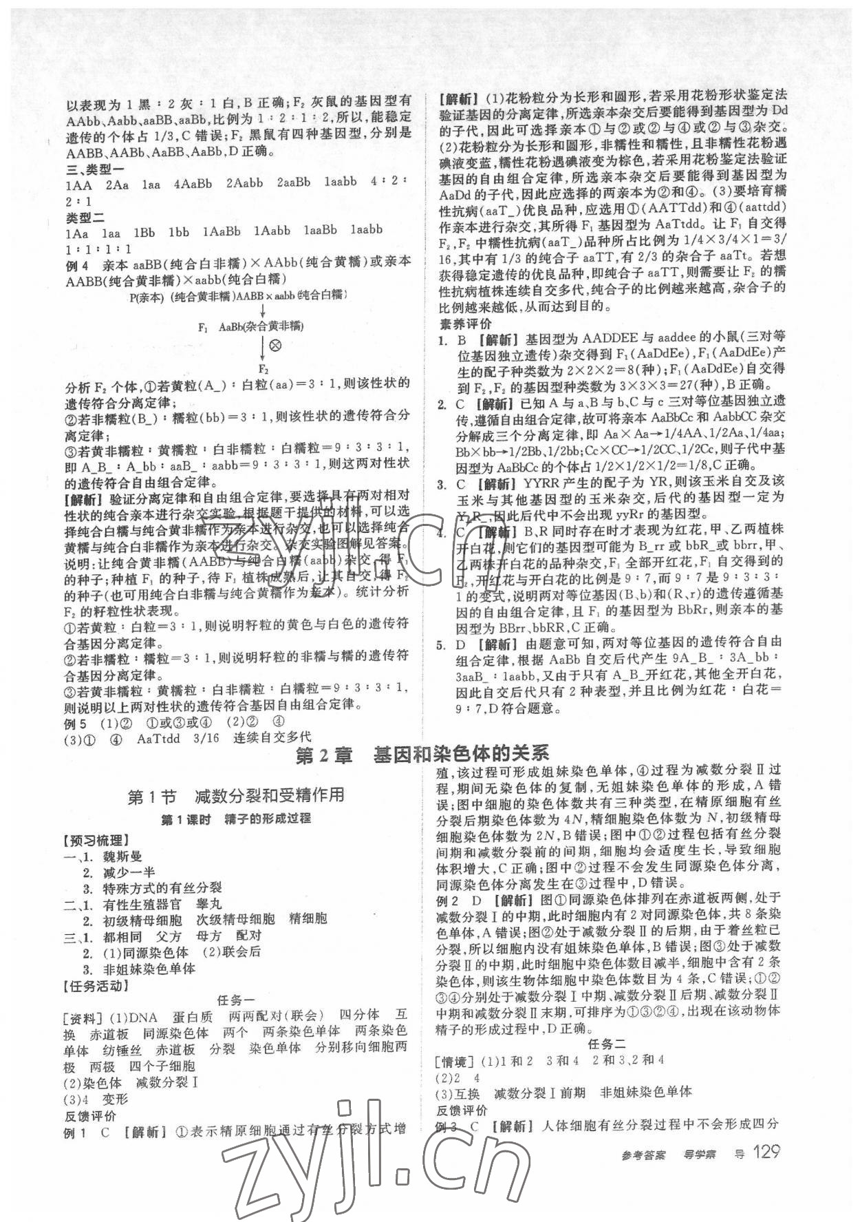 2022年全品学练考高中生物必修2人教版 第5页