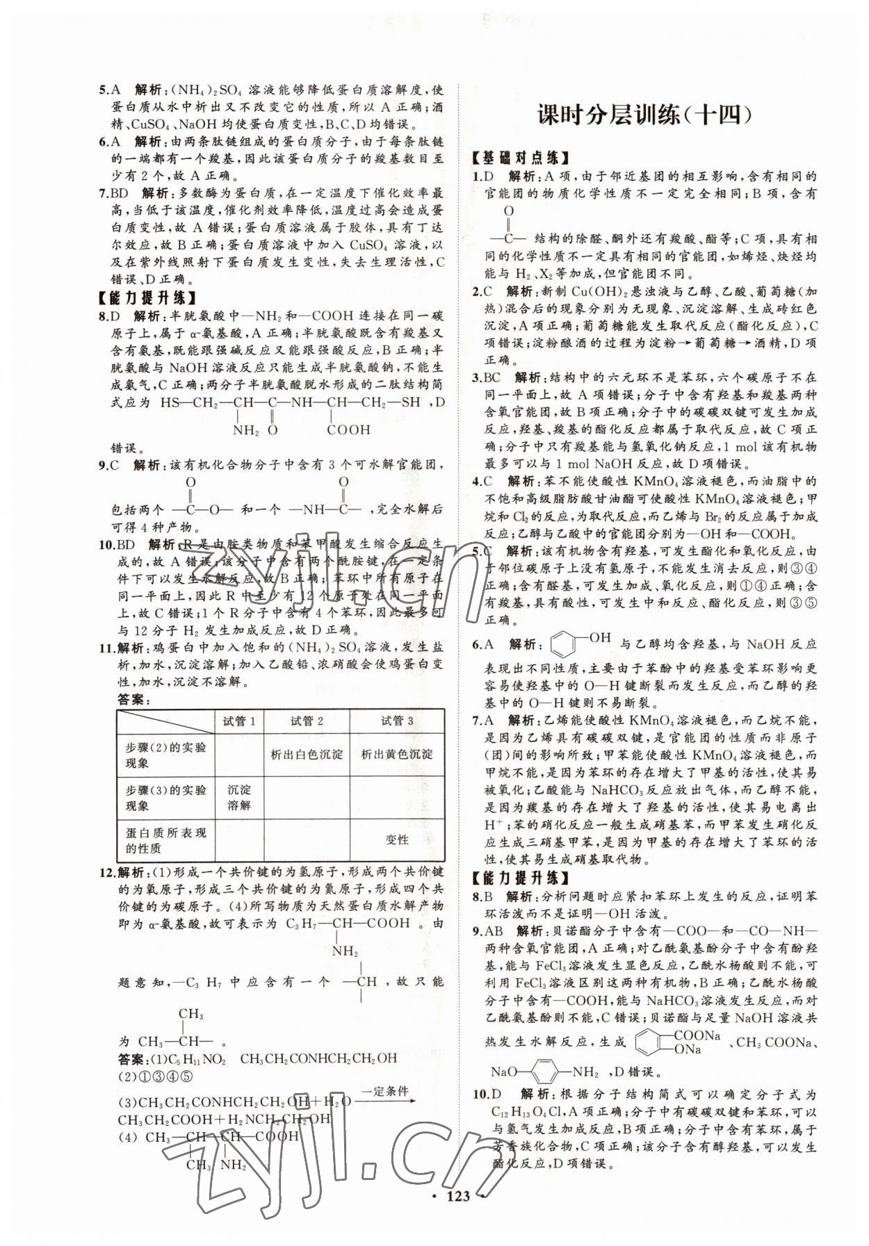 2022年高中同步练习册分层检测卷化学选择性必修3鲁科版 参考答案第11页