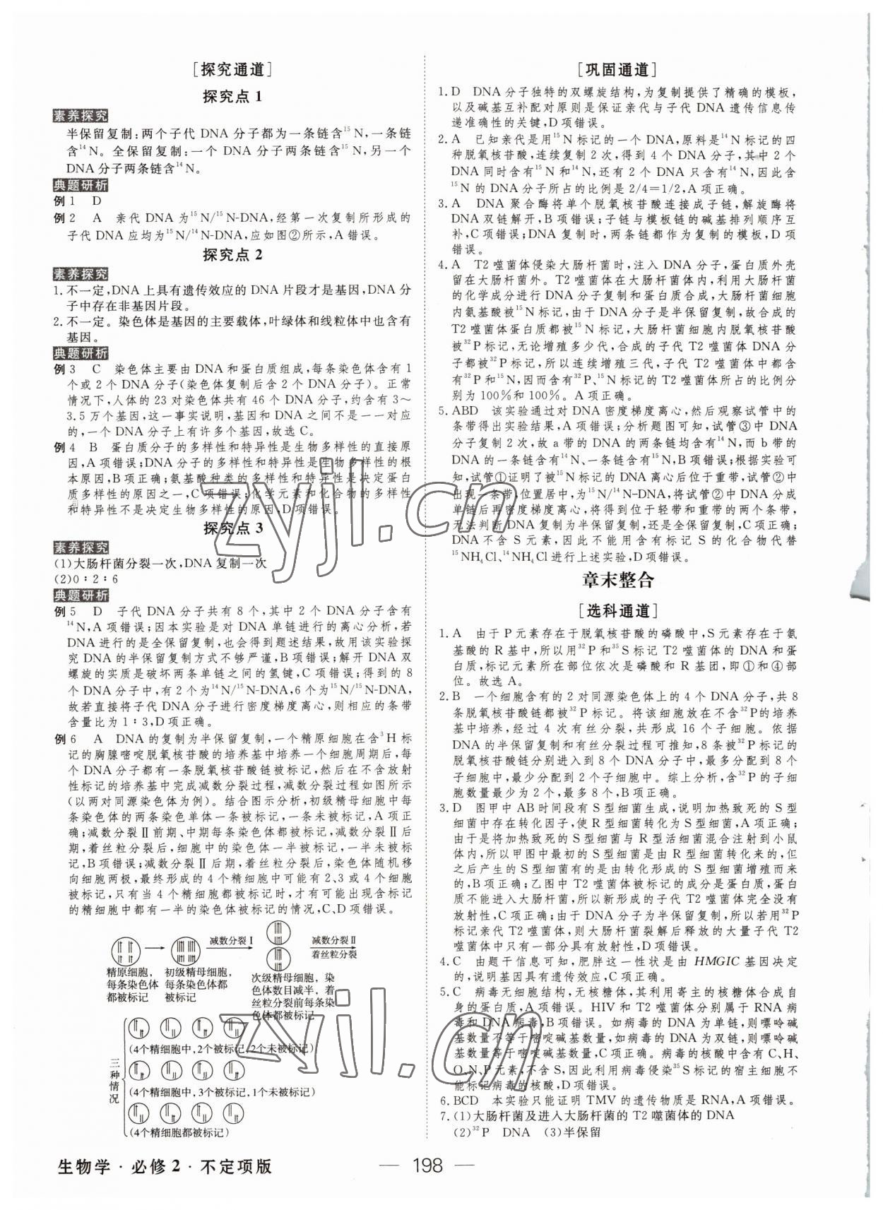 2022年绿色通道高中生物必修2人教版 参考答案第9页