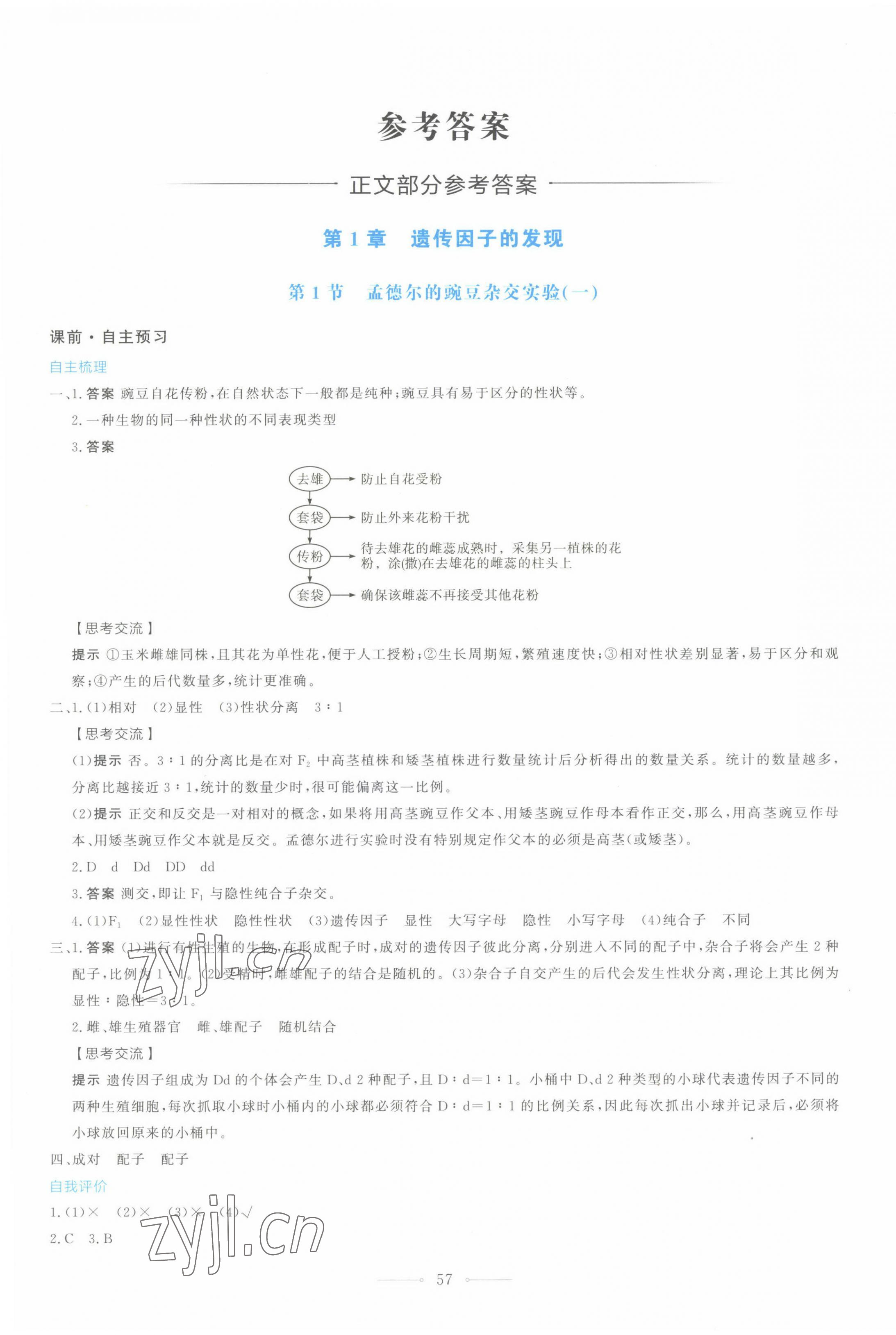 2022年阳光课堂人民教育出版社高中生物必修2人教版 第1页