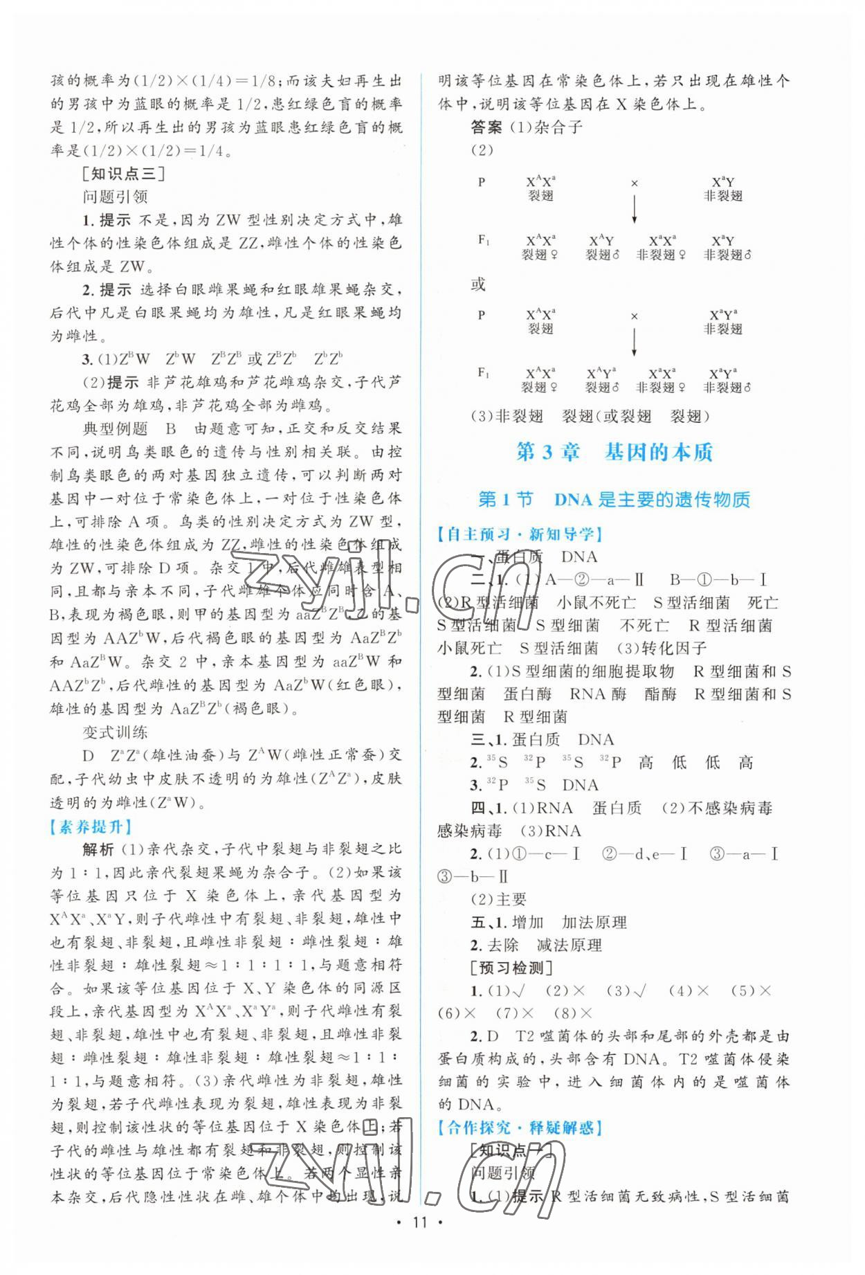 2022年高中同步测控优化设计高中生物必修2人教版增强版 参考答案第10页