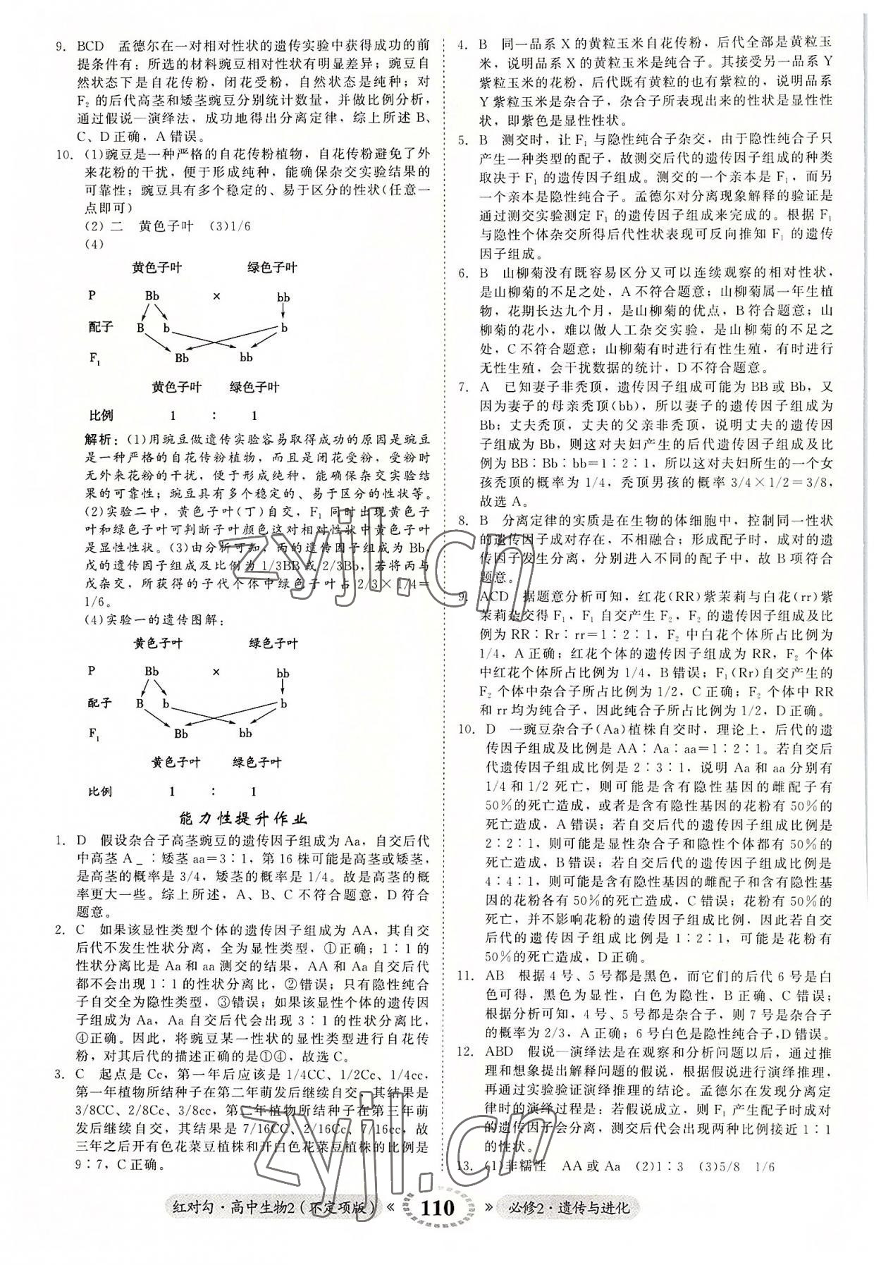 2022年紅對勾高中生物2必修2人教版 參考答案第2頁