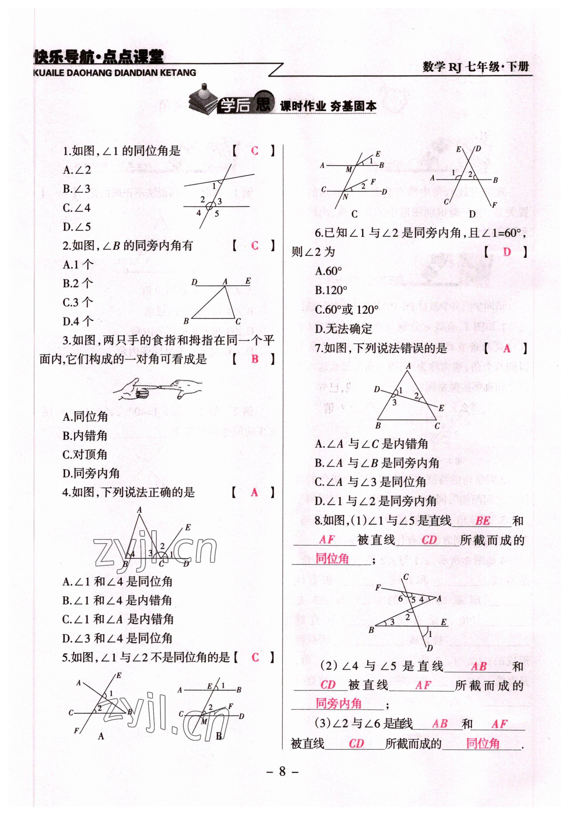 2022年快乐导航点点课堂七年级数学下册人教版 参考答案第8页