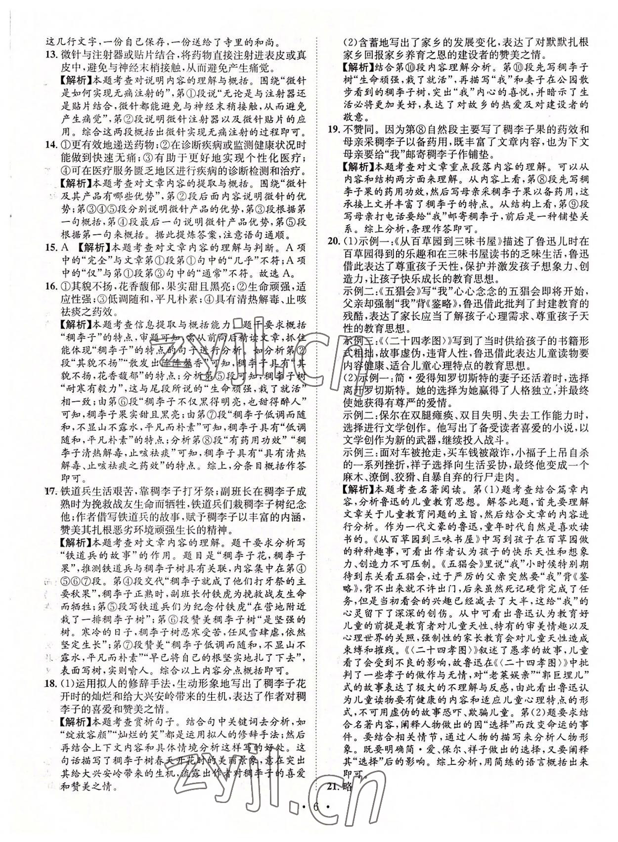 2022年正大圖書(shū)中考試題匯編語(yǔ)文山東專版 參考答案第6頁(yè)