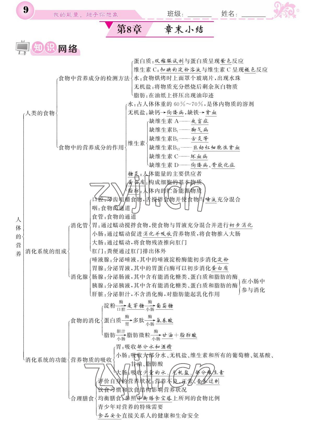 2022年課堂點(diǎn)睛七年級(jí)生物下冊(cè)北師大版 參考答案第9頁