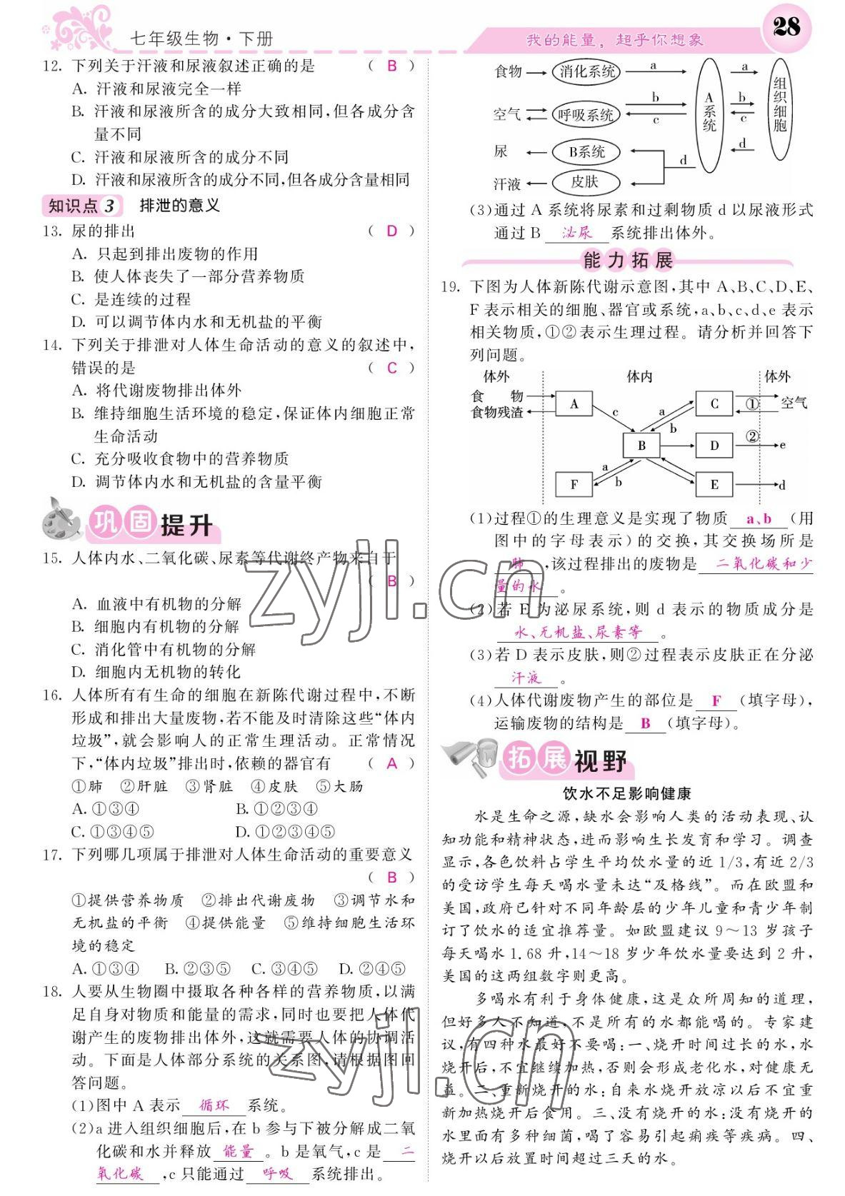 2022年課堂點(diǎn)睛七年級生物下冊北師大版 參考答案第28頁