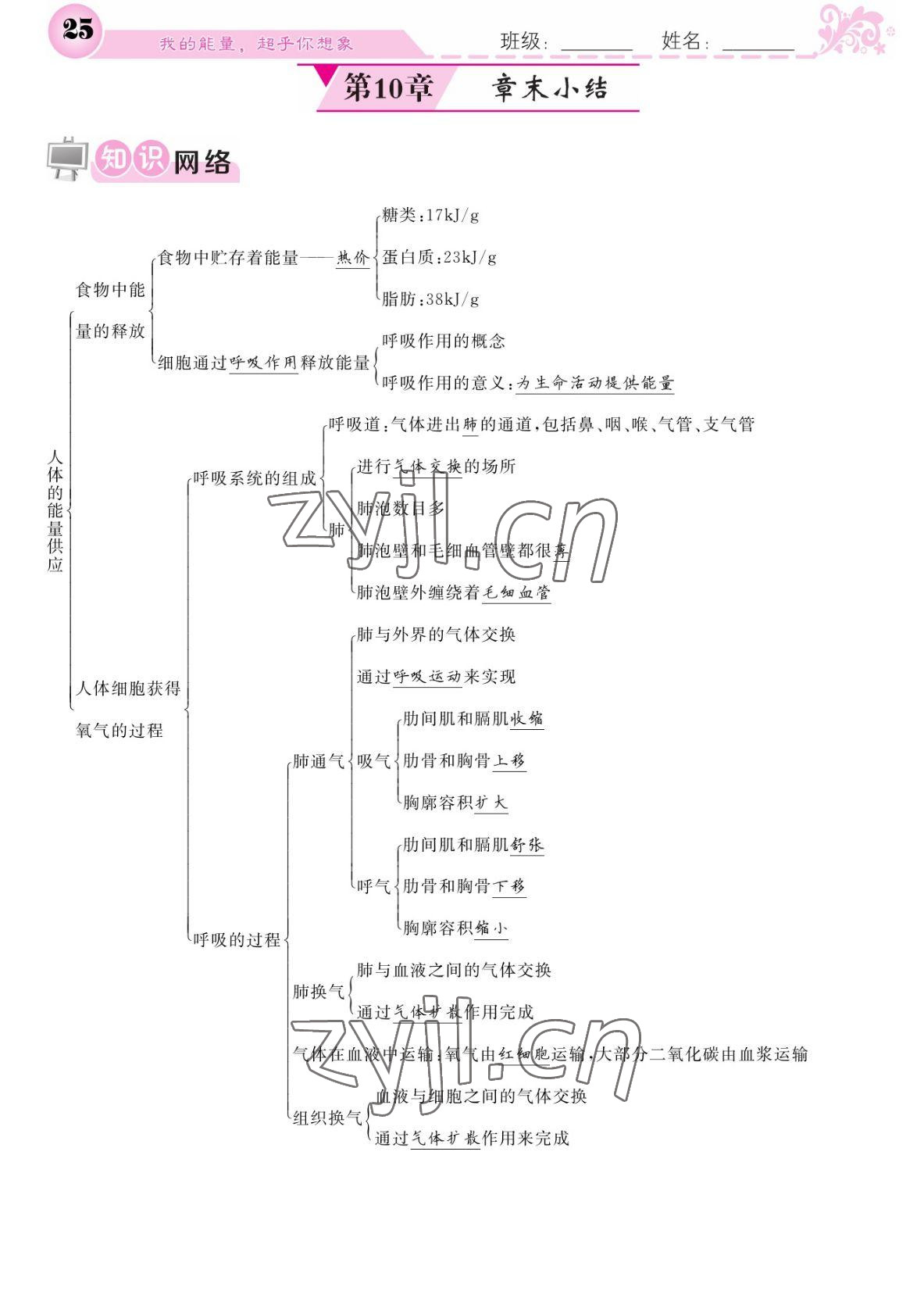 2022年課堂點睛七年級生物下冊北師大版 參考答案第25頁