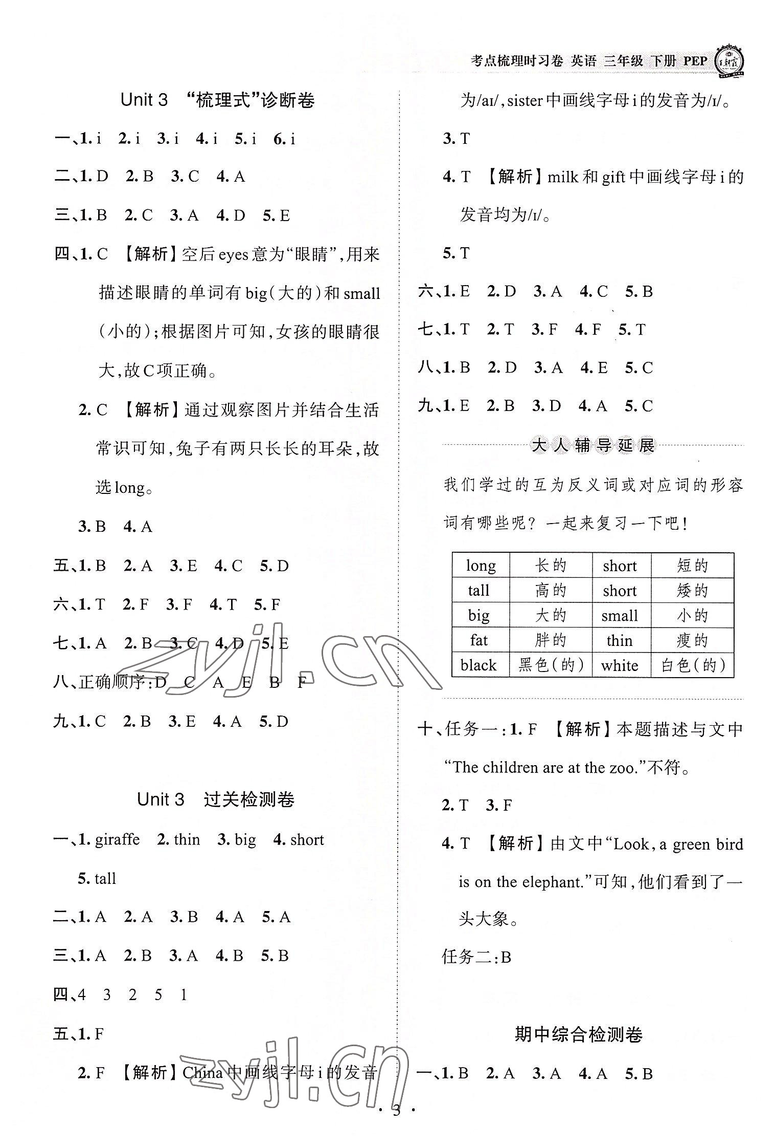 2022年王朝霞考点梳理时习卷三年级英语下册人教版 第3页