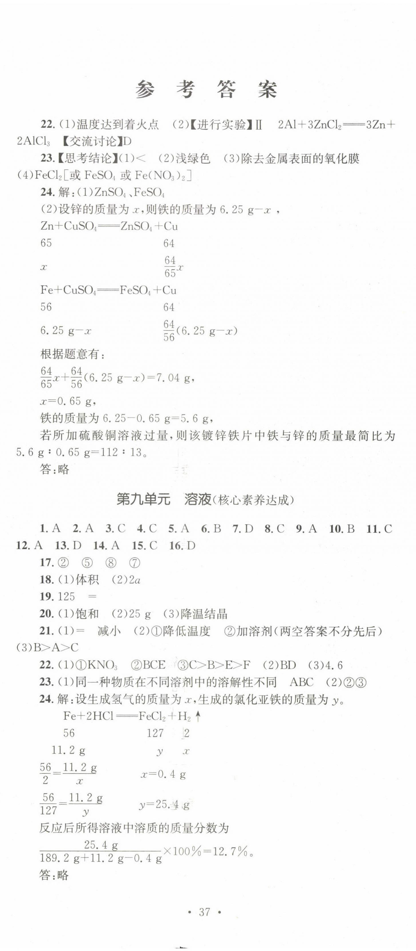 2022年学科素养与能力提升九年级化学下册人教版 第2页