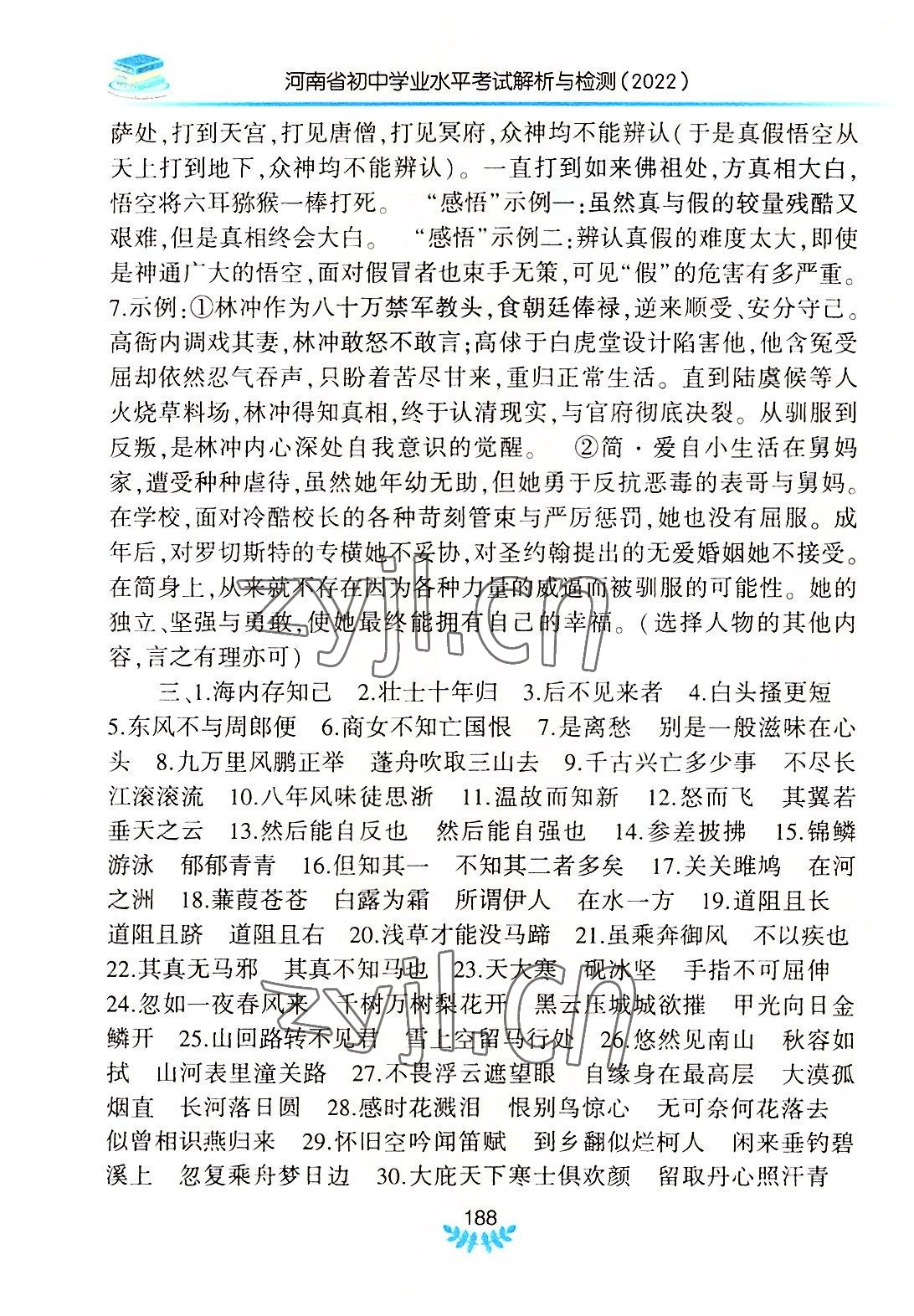 2022年河南省初中学业水平考试解析与检测语文下册 第2页