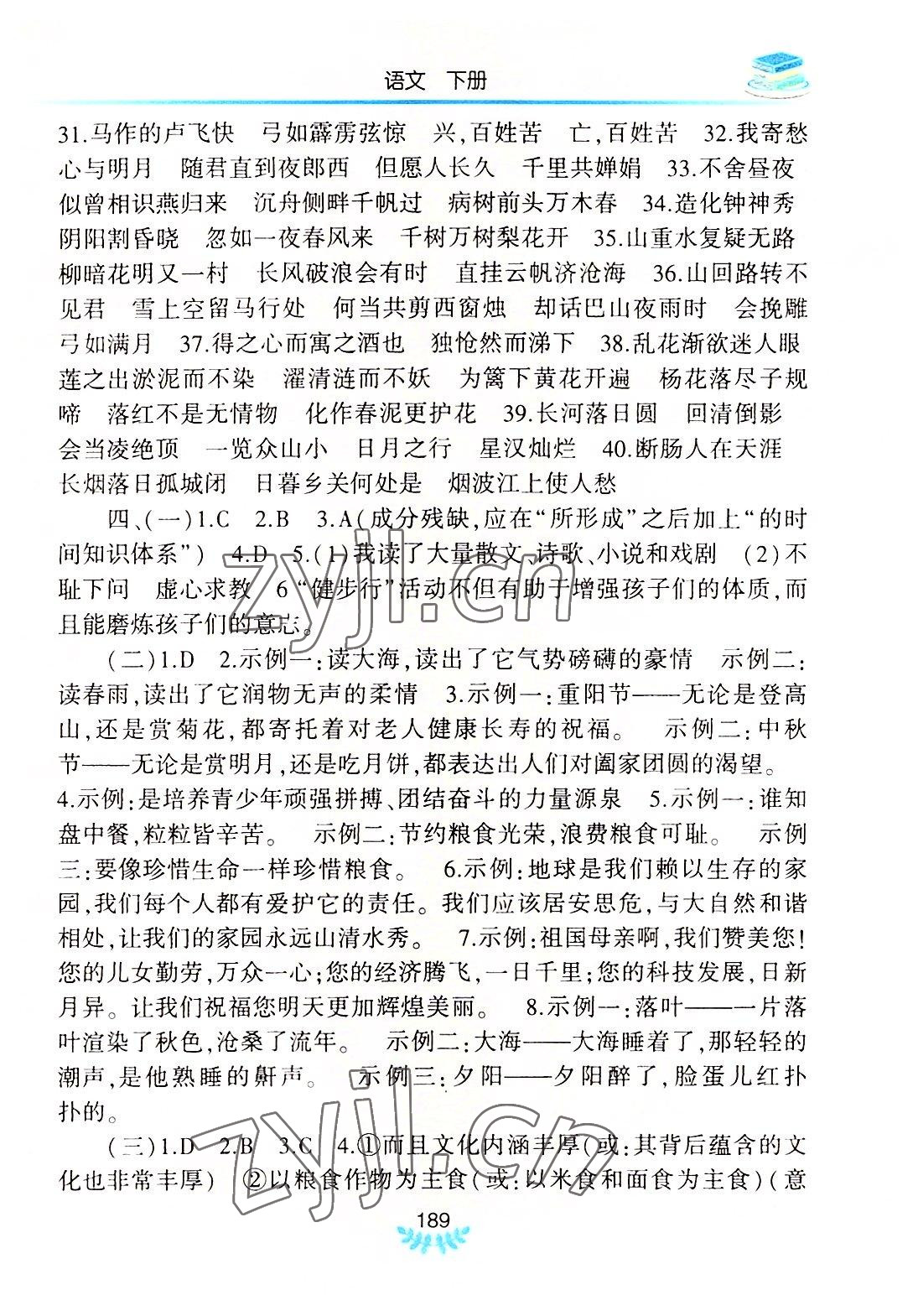 2022年河南省初中学业水平考试解析与检测语文下册 第3页