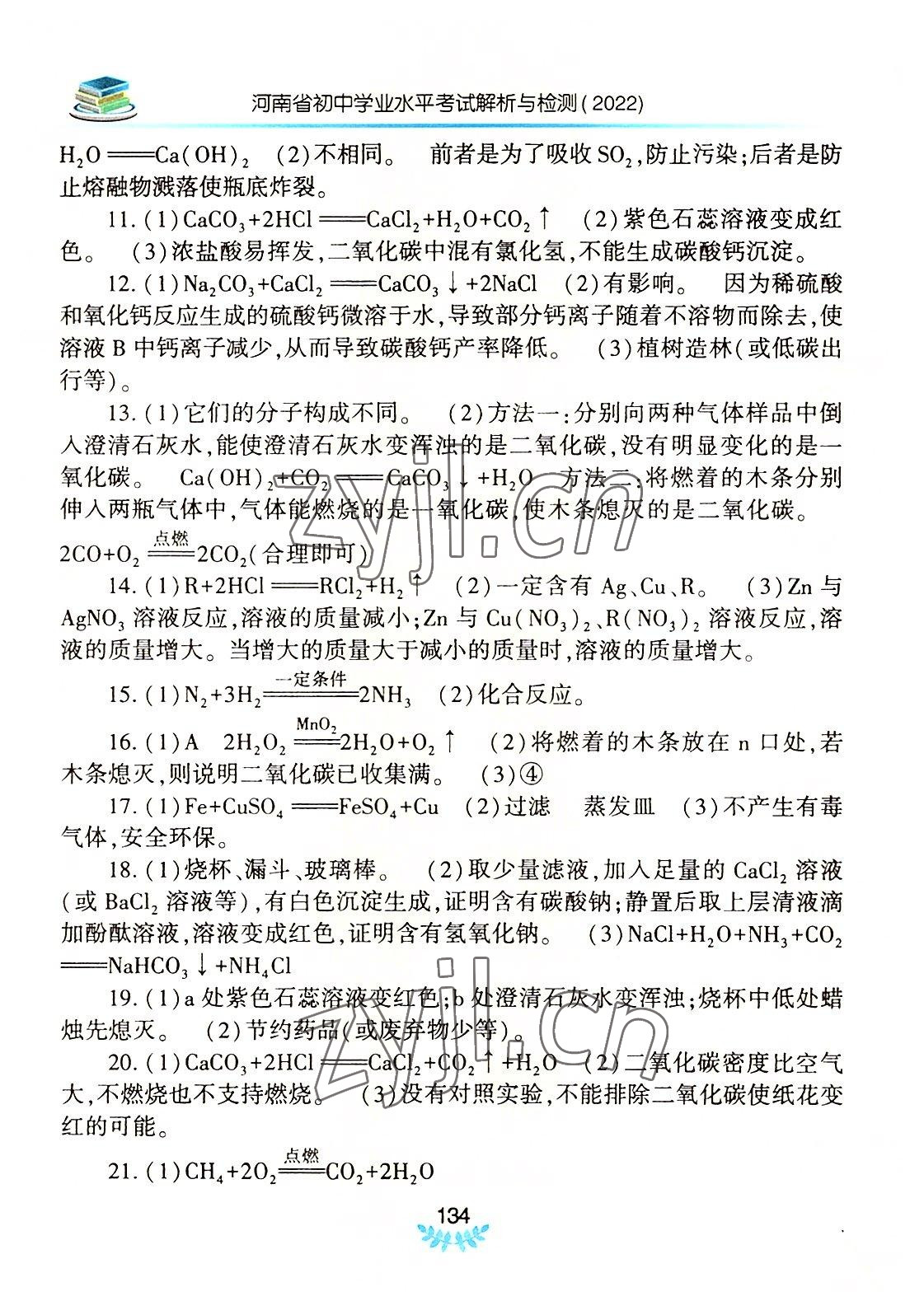 2022年河南省初中學業(yè)水平考試解析與檢測化學上冊 第6頁