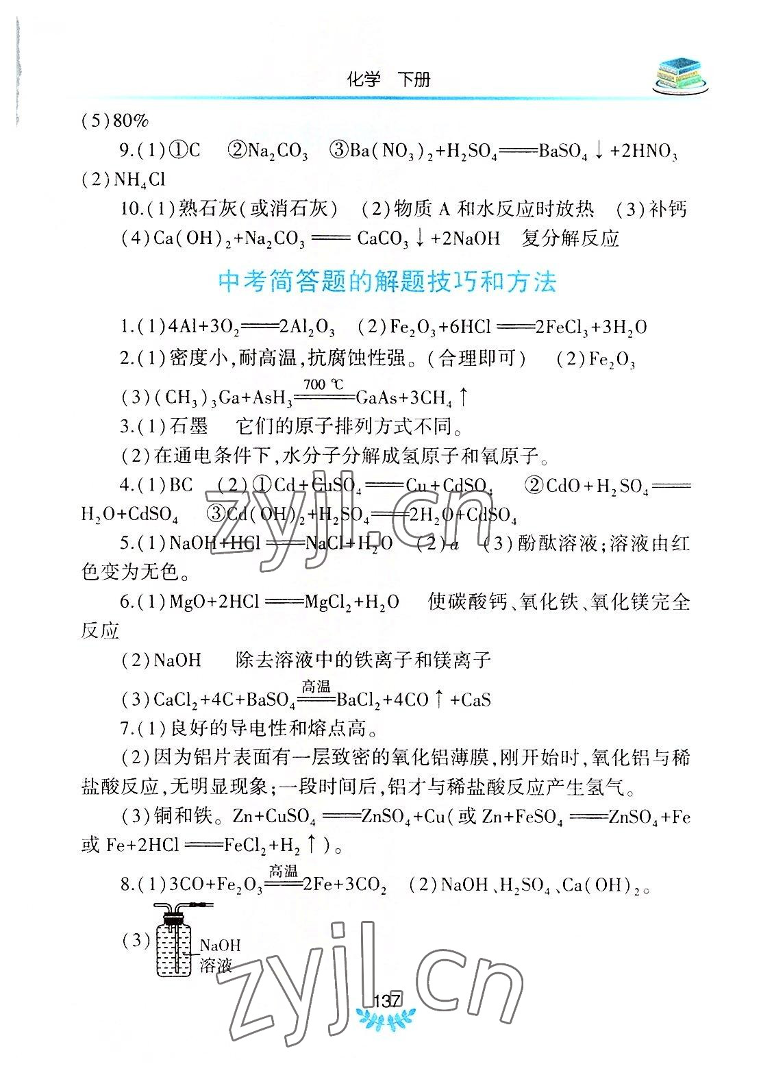 2022年河南省初中学业水平考试解析与检测化学下册 参考答案第2页