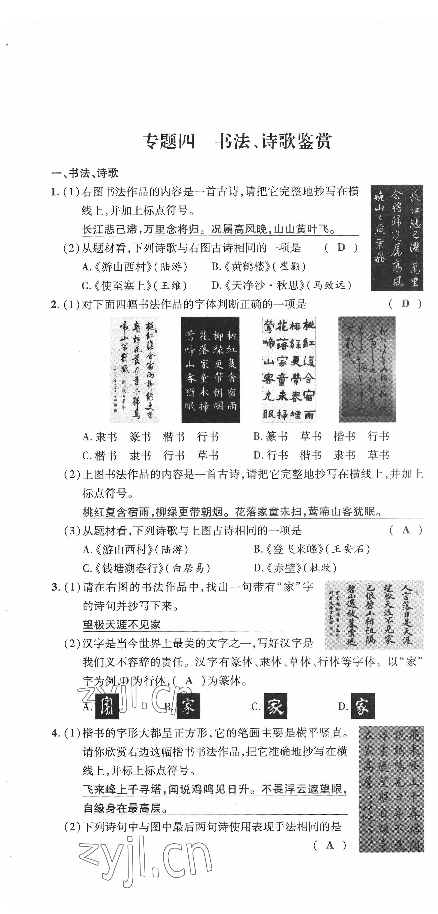 2022年新一线必刷卷语文广东专版 第10页