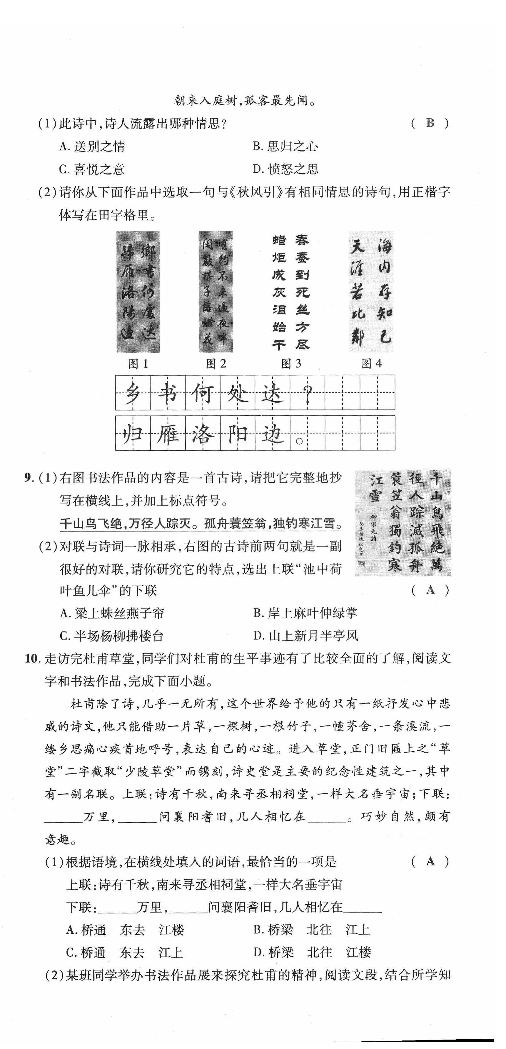 2022年新一线必刷卷语文广东专版 第12页