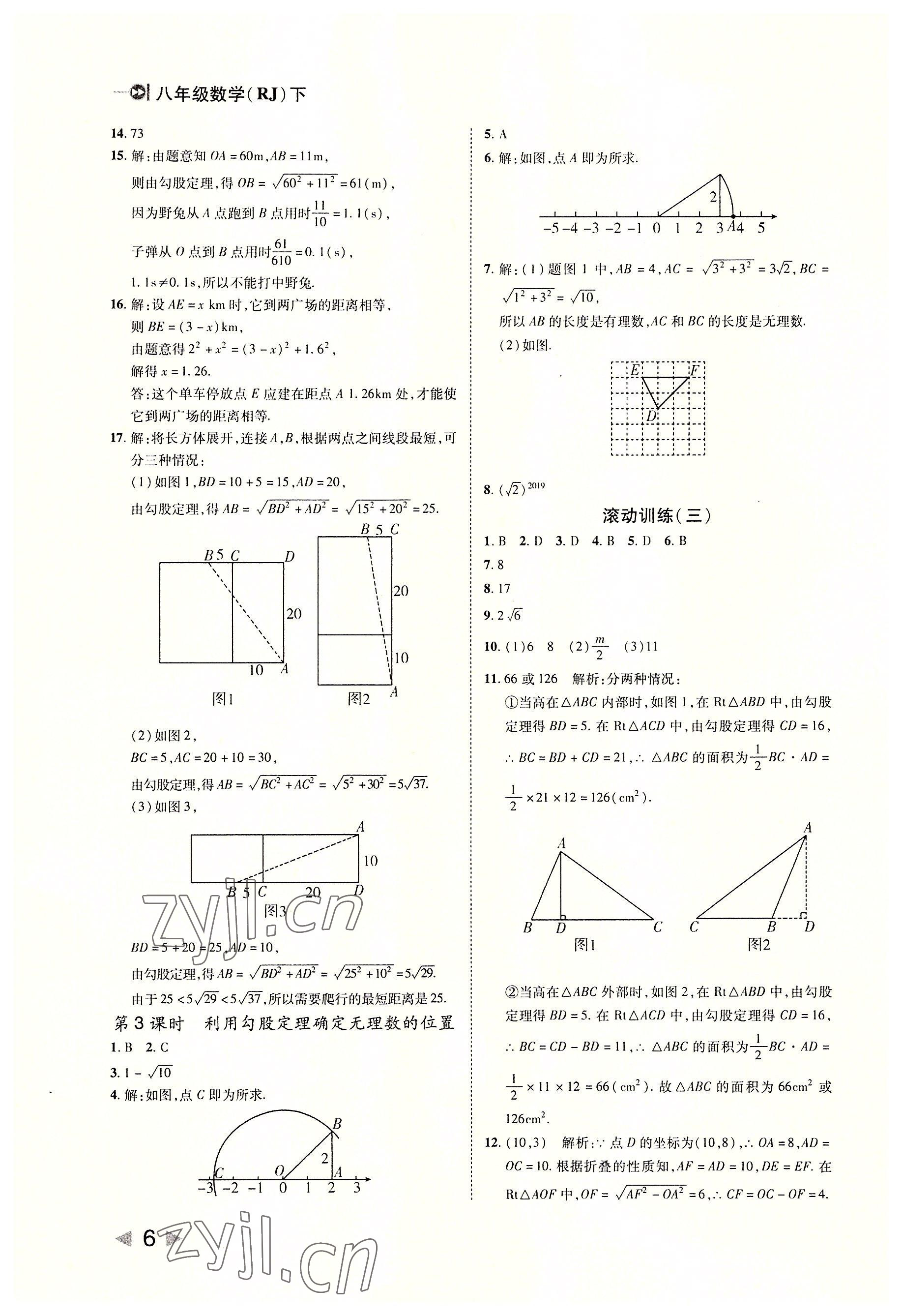 2022年勝券在握打好基礎(chǔ)金牌作業(yè)本八年級數(shù)學(xué)下冊人教版 參考答案第6頁