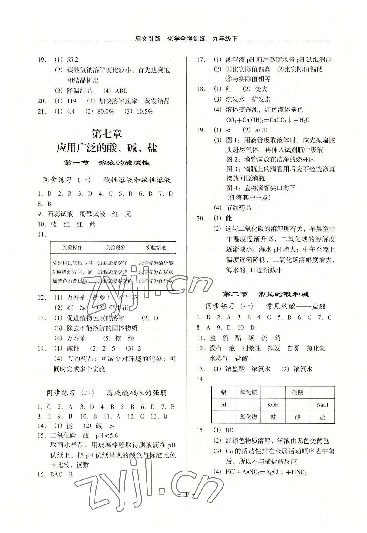 2022年启文引路九年级化学下册沪教版 参考答案第4页