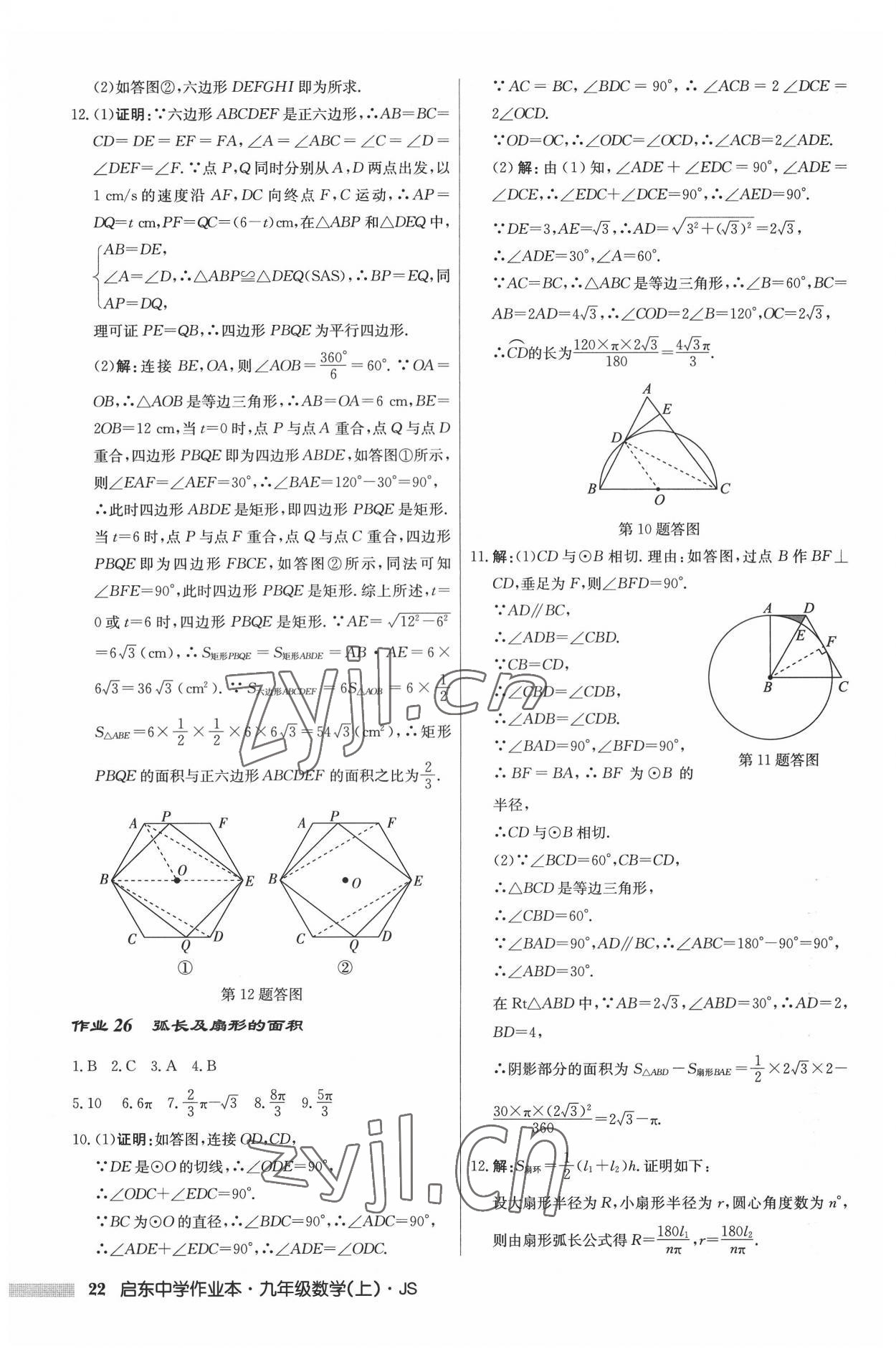 2022年啟東中學(xué)作業(yè)本九年級數(shù)學(xué)上冊江蘇版 參考答案第22頁