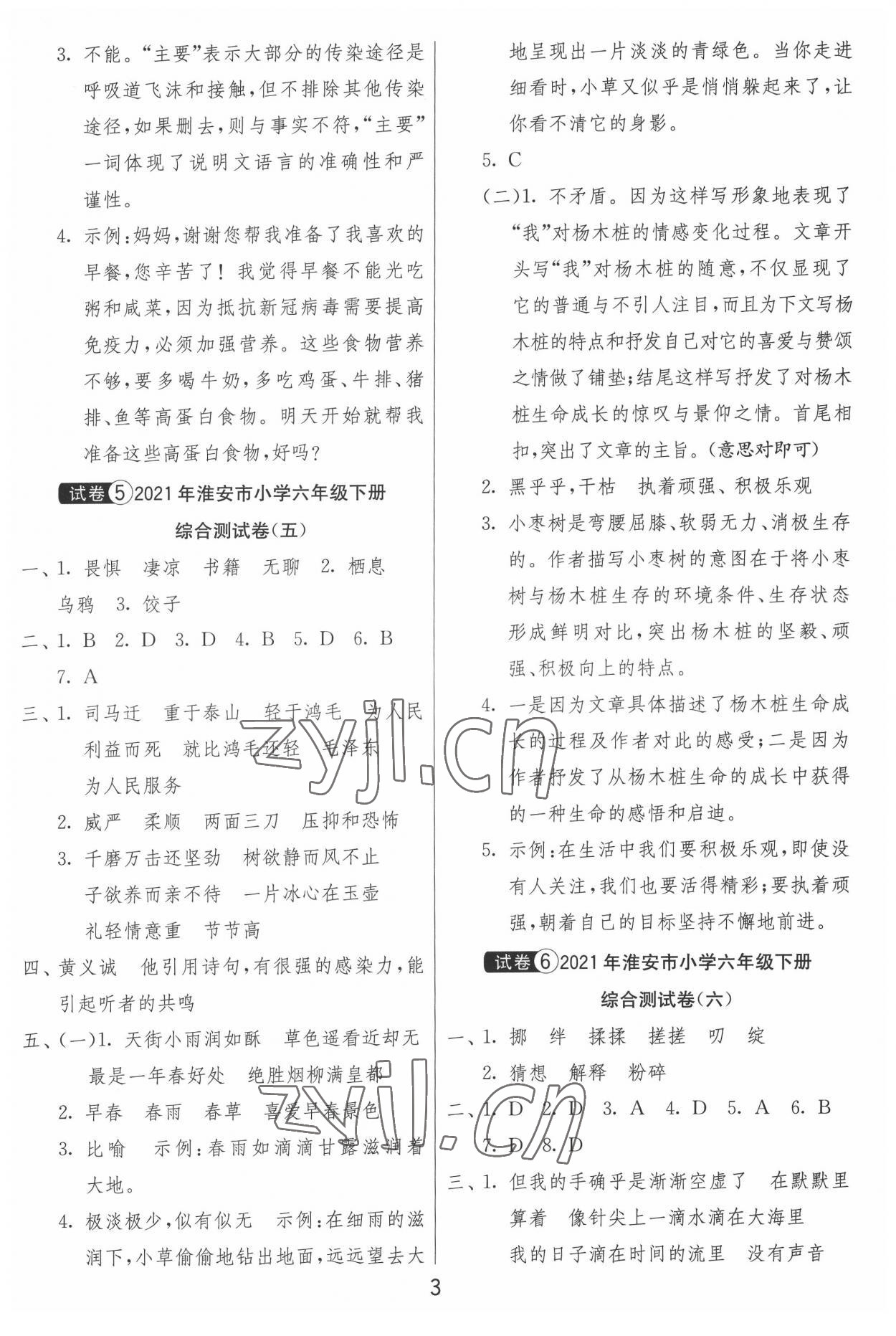 2022年考必胜淮安市小学毕业升学考试试卷精选语文 第3页