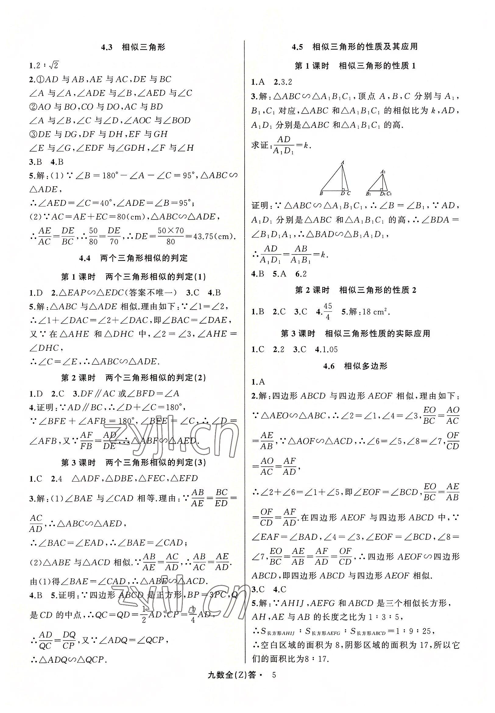 2022年名師面對面同步作業(yè)本九年級數(shù)學全一冊浙教版浙江專版 參考答案第5頁