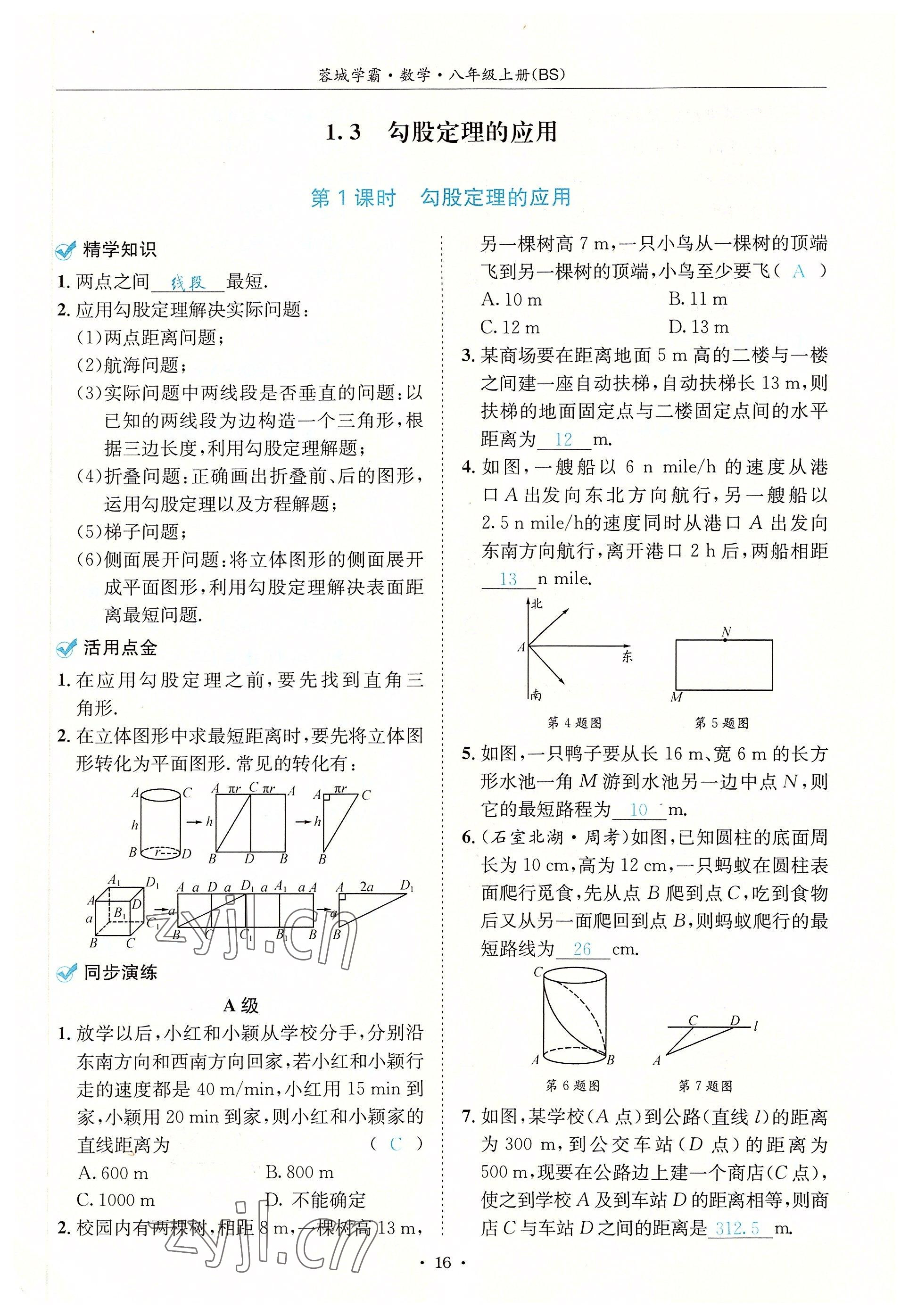 2022年蓉城学霸八年级数学上册北师大版 参考答案第16页