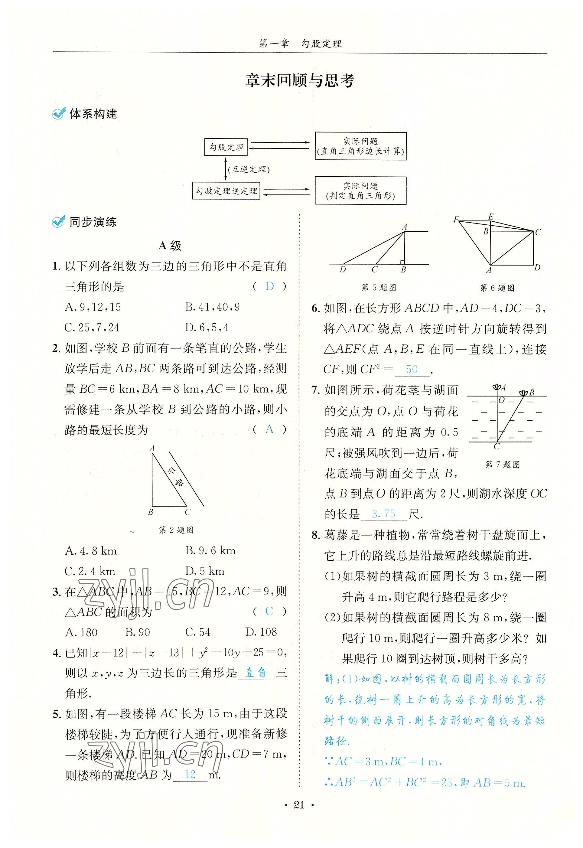 2022年蓉城学霸八年级数学上册北师大版 参考答案第21页