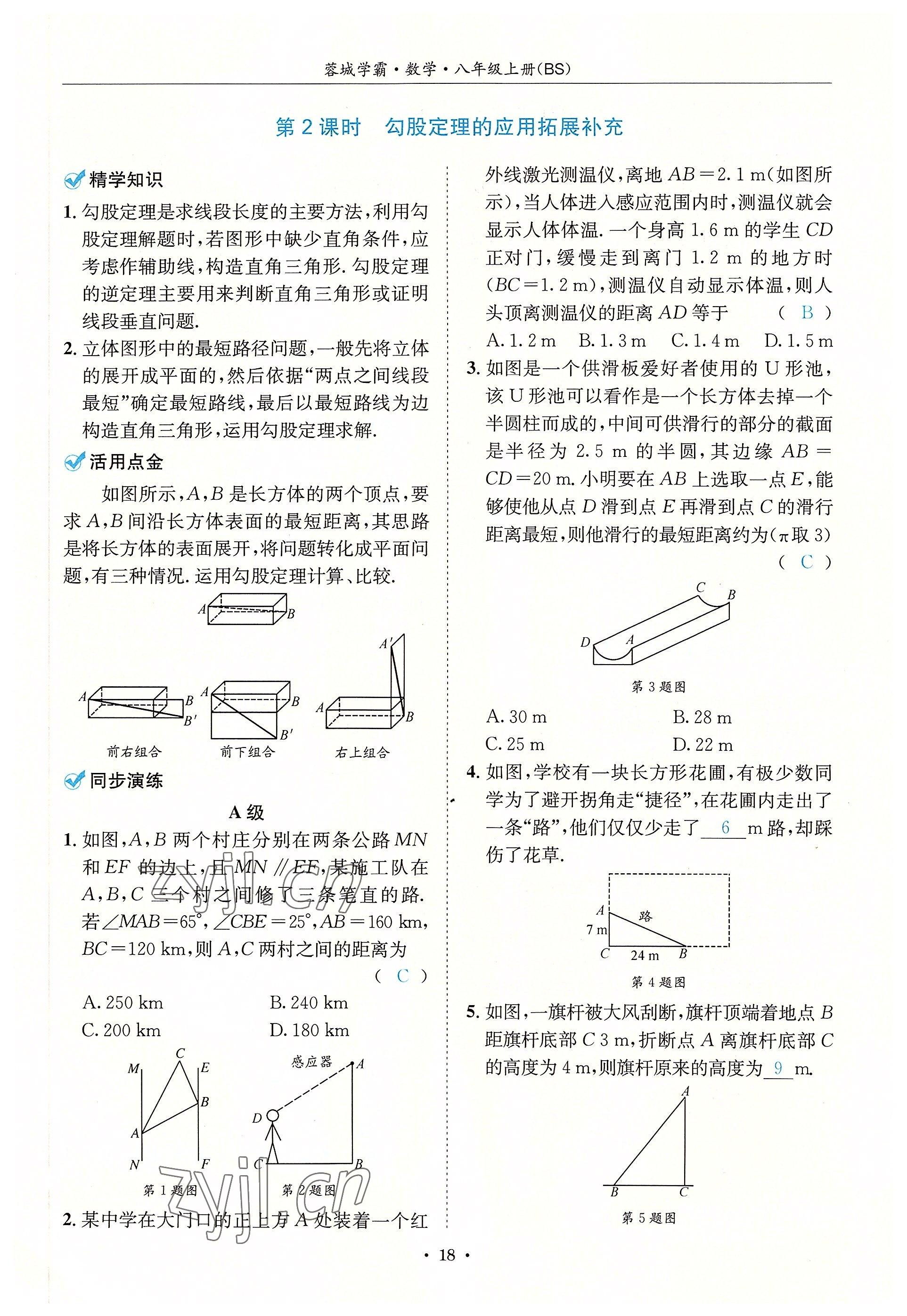 2022年蓉城学霸八年级数学上册北师大版 参考答案第18页
