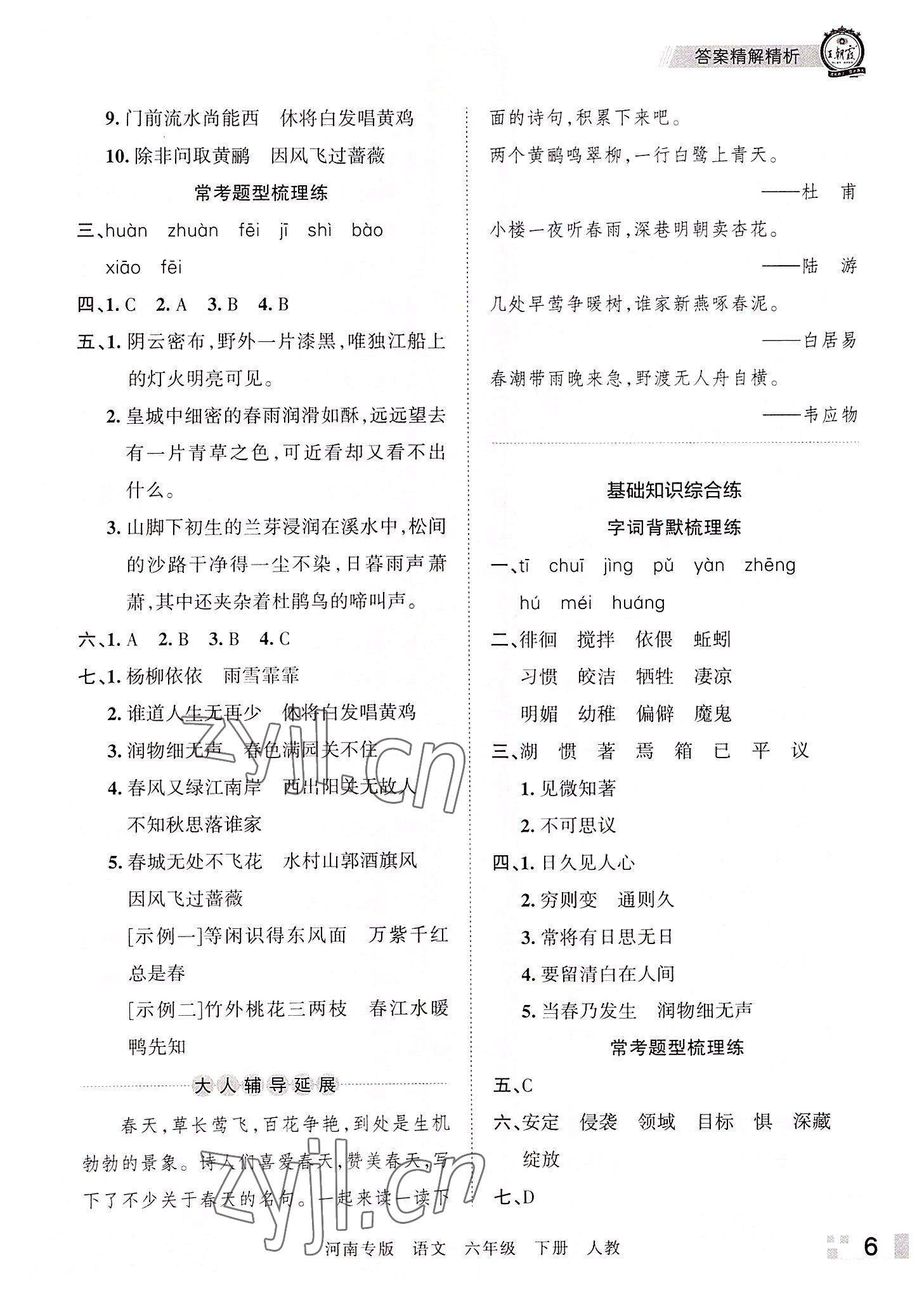 2022年王朝霞各地期末試卷精選六年級語文下冊人教版河南專版 參考答案第6頁