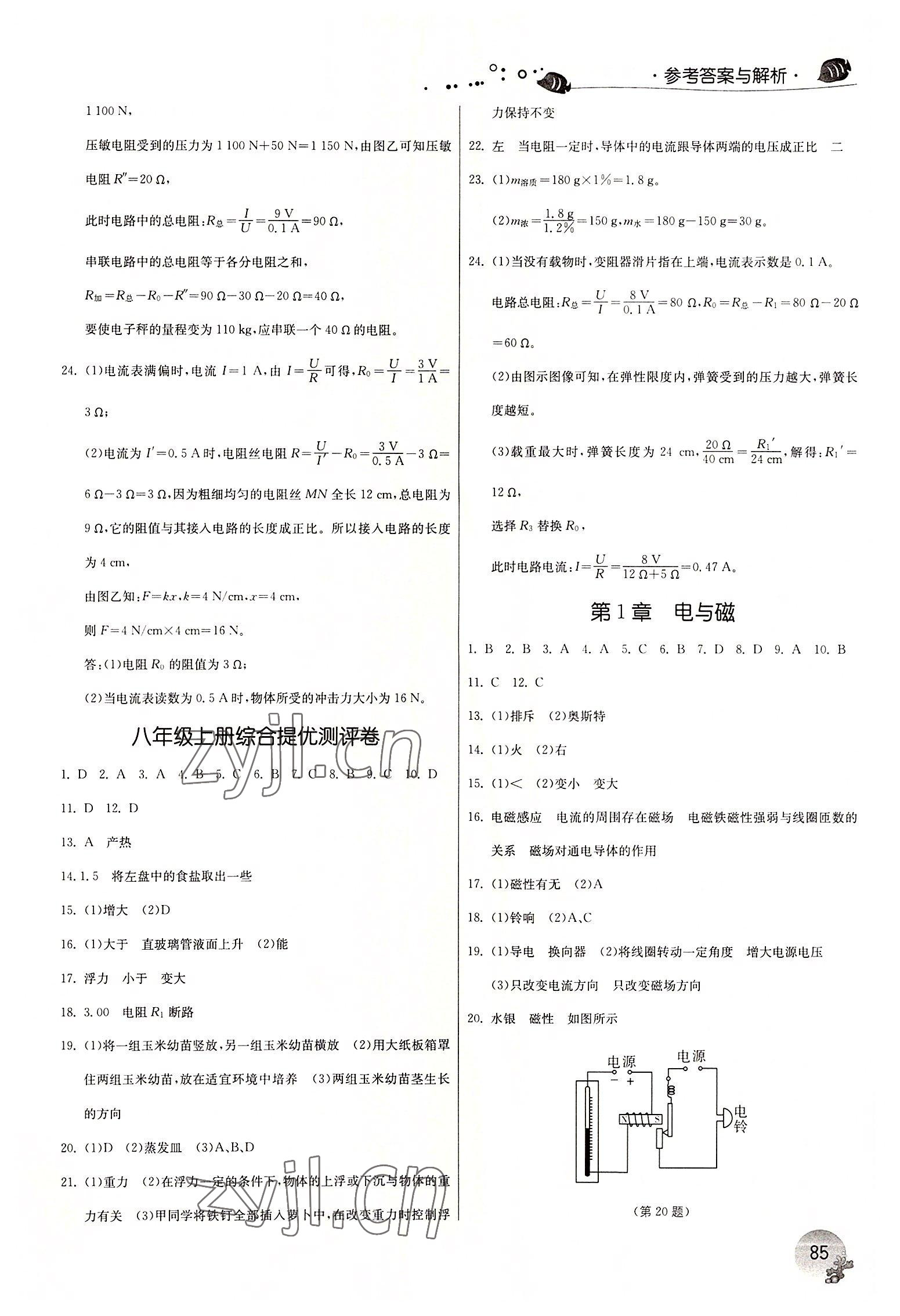 2022年實(shí)驗(yàn)班提優(yōu)訓(xùn)練暑假銜接版八年級(jí)科學(xué)浙教版 第3頁(yè)