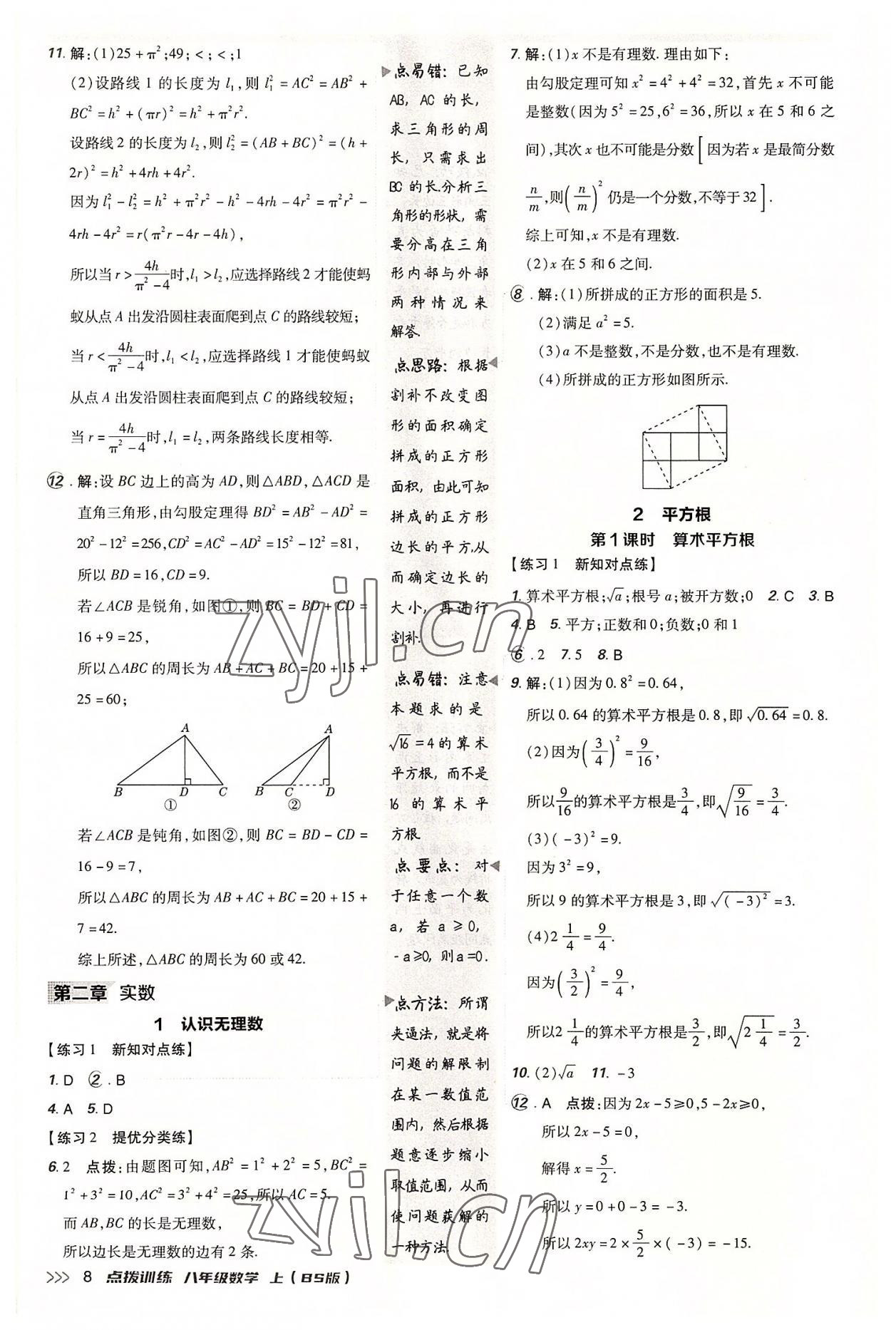 2022年點(diǎn)撥訓(xùn)練八年級(jí)數(shù)學(xué)上冊(cè)北師大版 參考答案第7頁