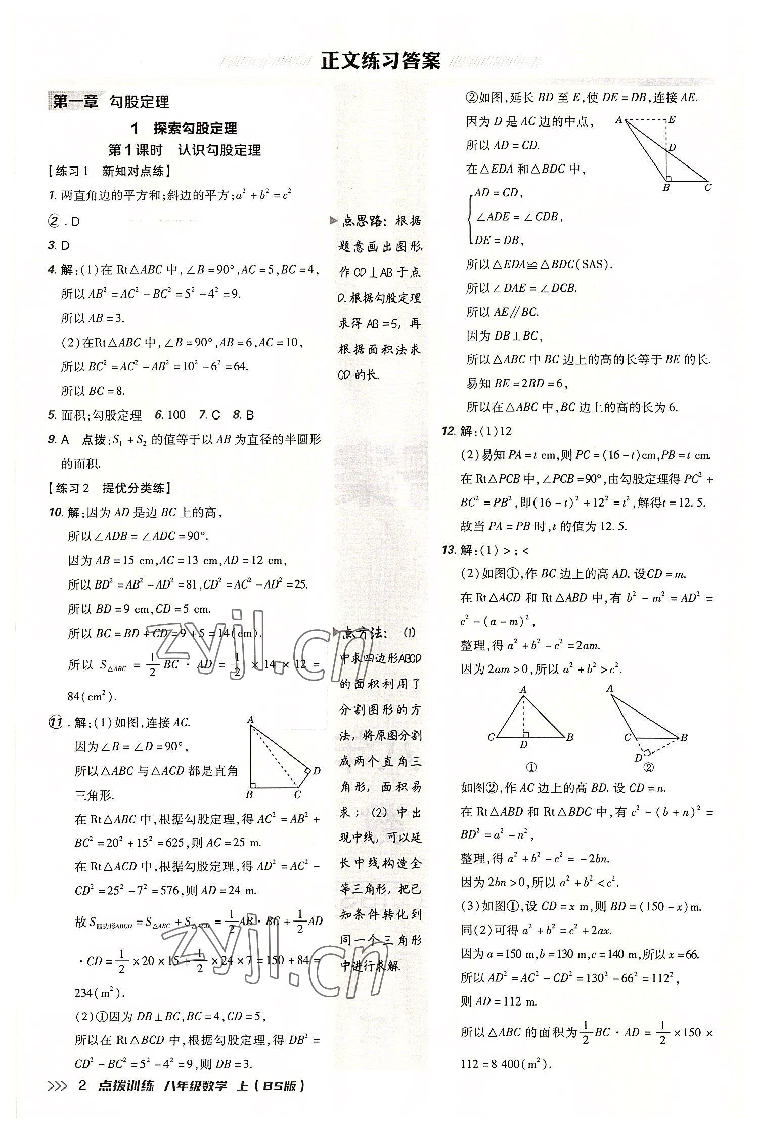 2022年點(diǎn)撥訓(xùn)練八年級(jí)數(shù)學(xué)上冊北師大版 參考答案第1頁