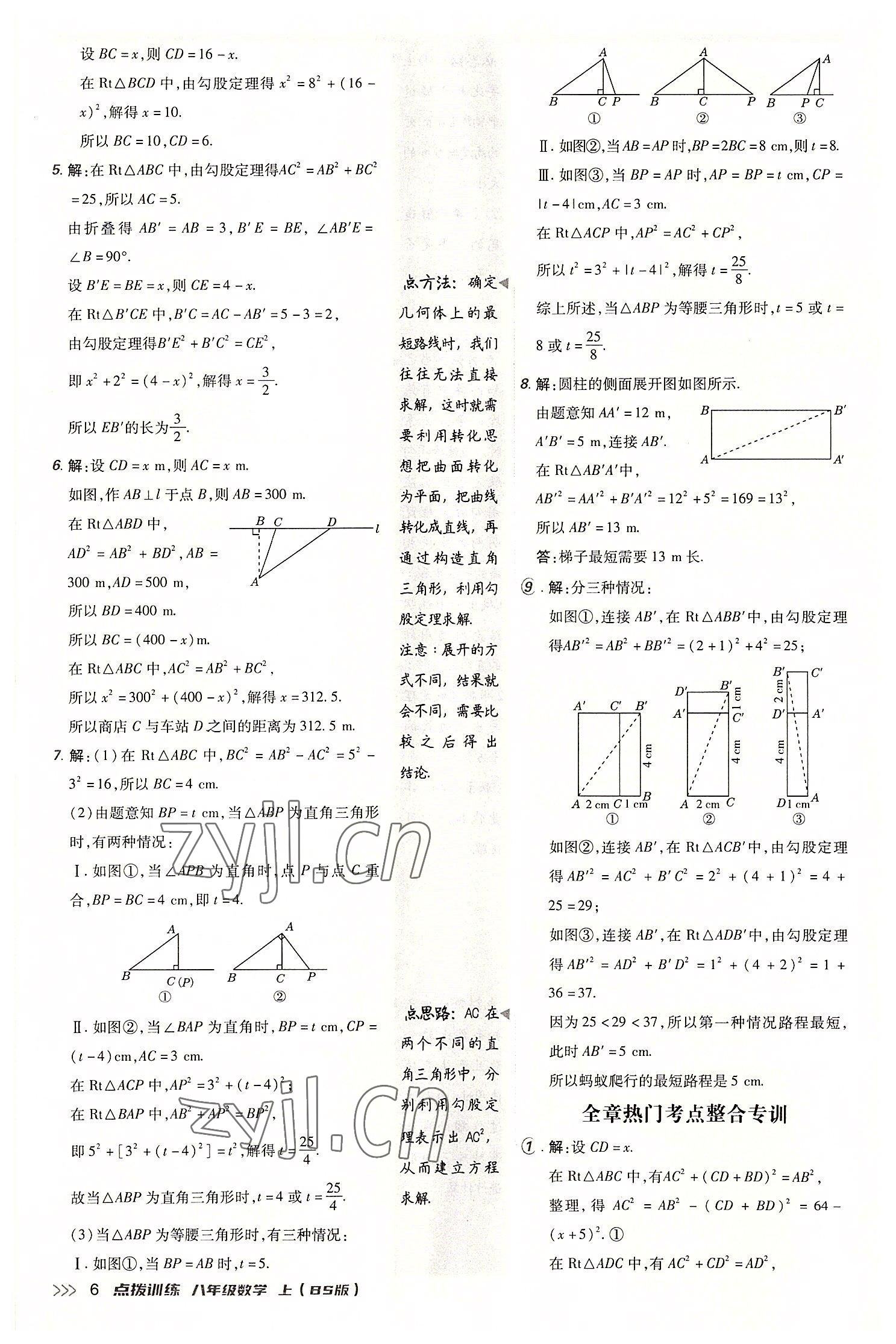 2022年点拨训练八年级数学上册北师大版 参考答案第5页