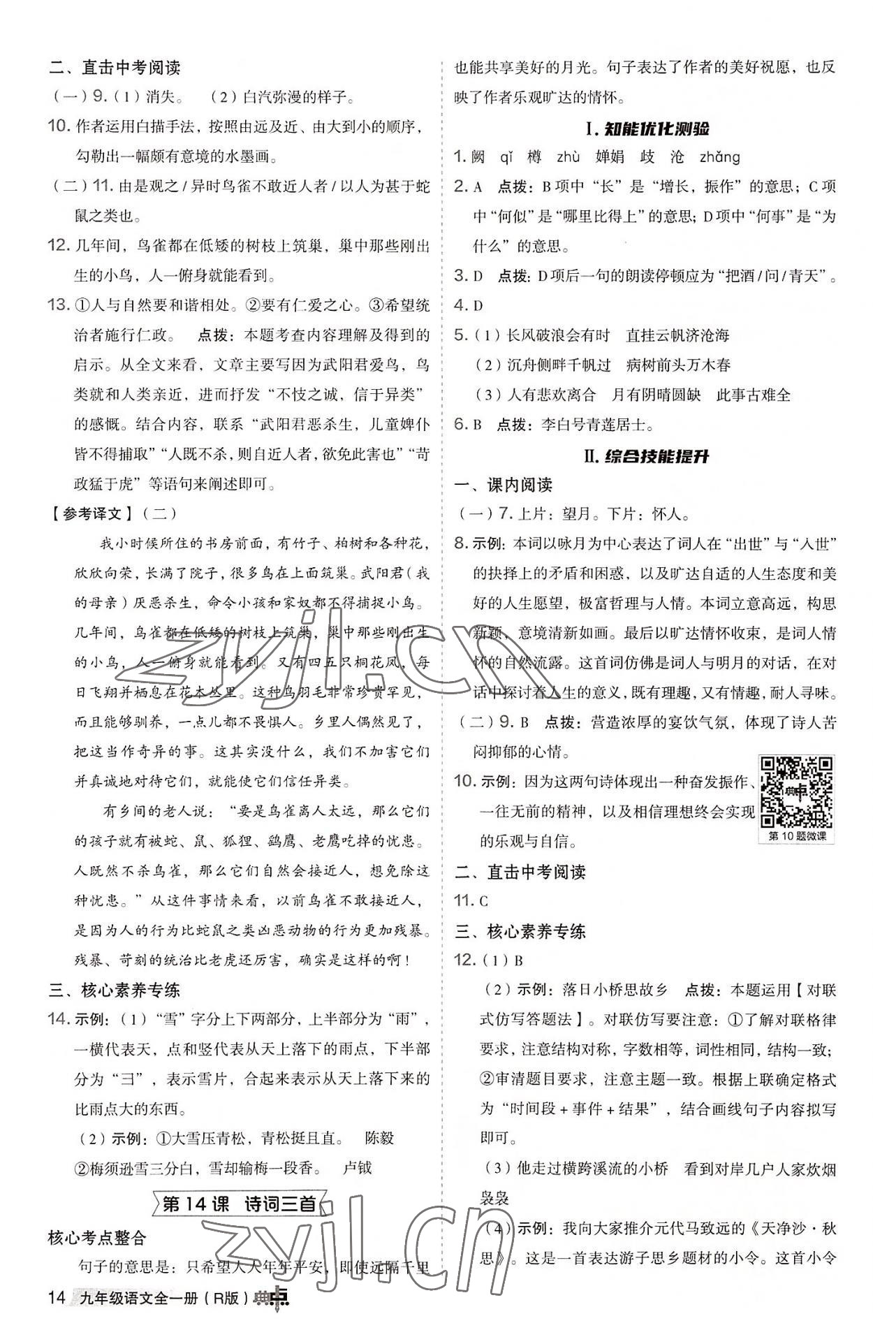 2022年综合应用创新题典中点九年级语文全一册人教版 参考答案第13页