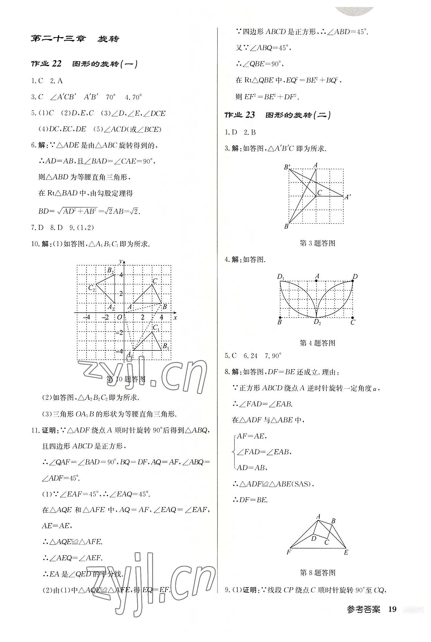 2022年啟東中學作業(yè)本九年級數(shù)學上冊人教版 第19頁