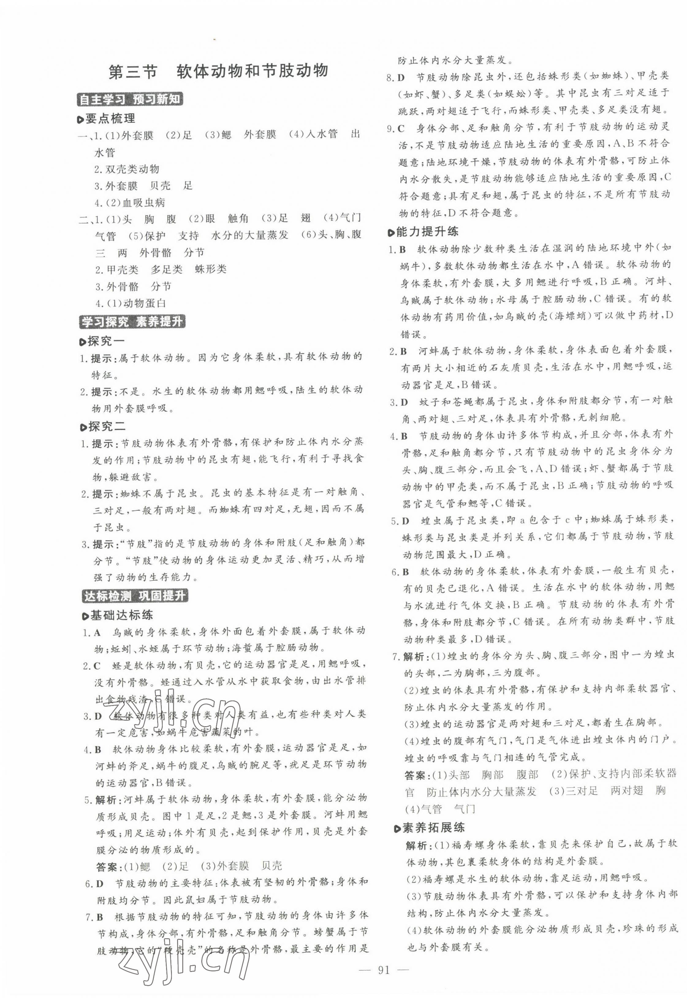 2022年練案八年級生物上冊魯科版五四制 第3頁