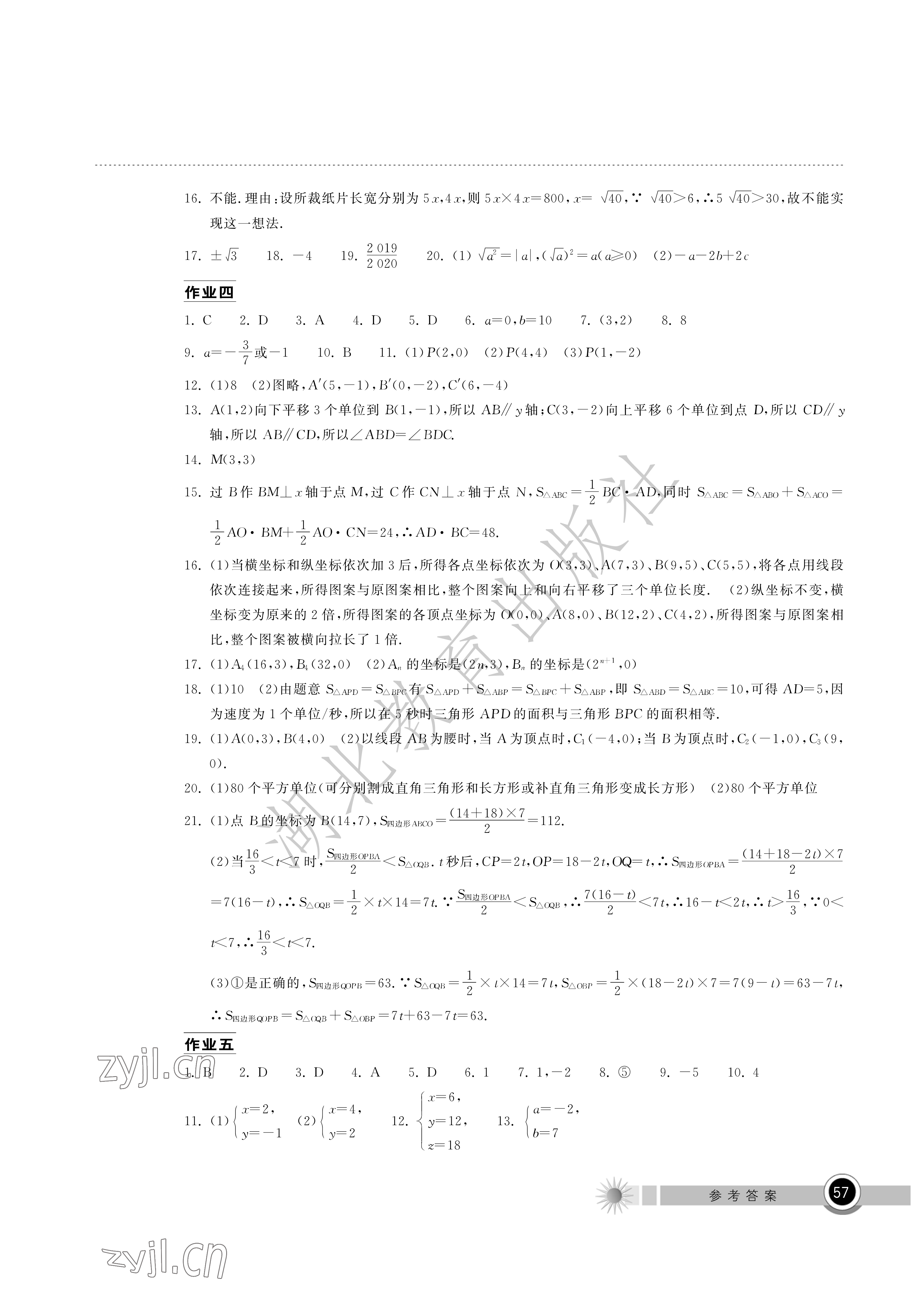 2022年长江作业本暑假作业七年级数学人教版湖北教育出版社 参考答案第2页