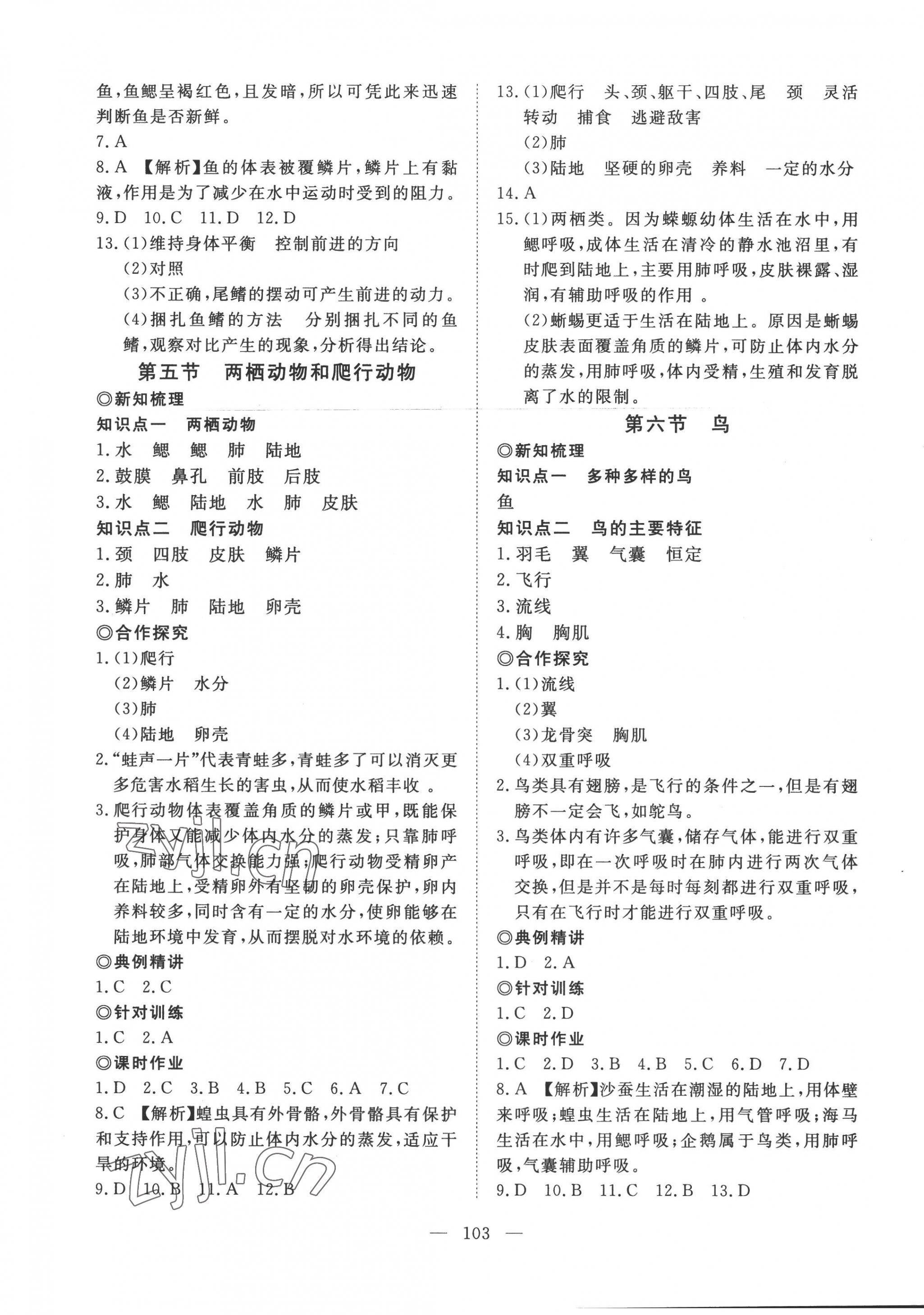 2022年351高效课堂导学案八年级生物上册人教版 第3页