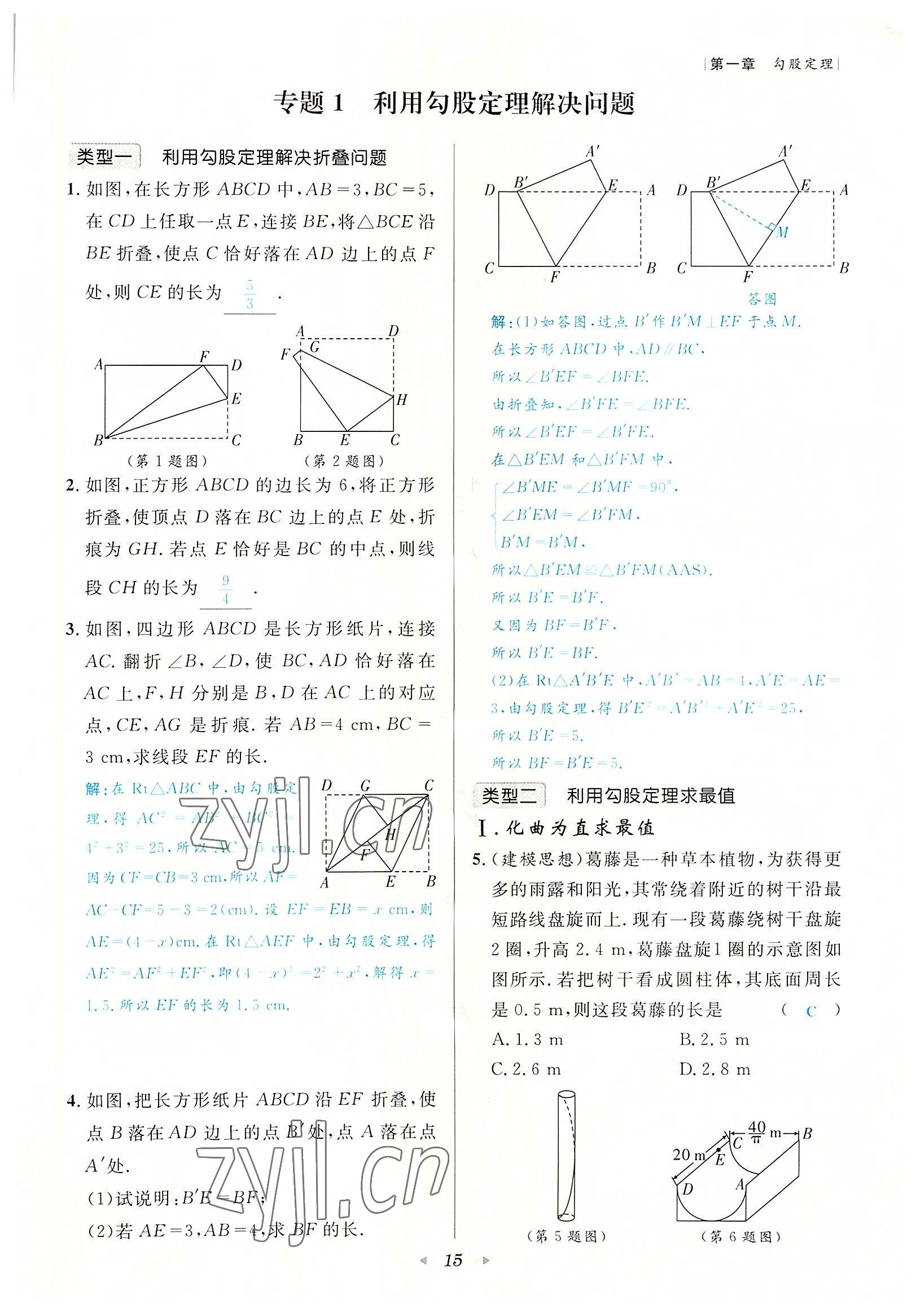 2022年数学一号八年级数学上册北师大版 参考答案第15页