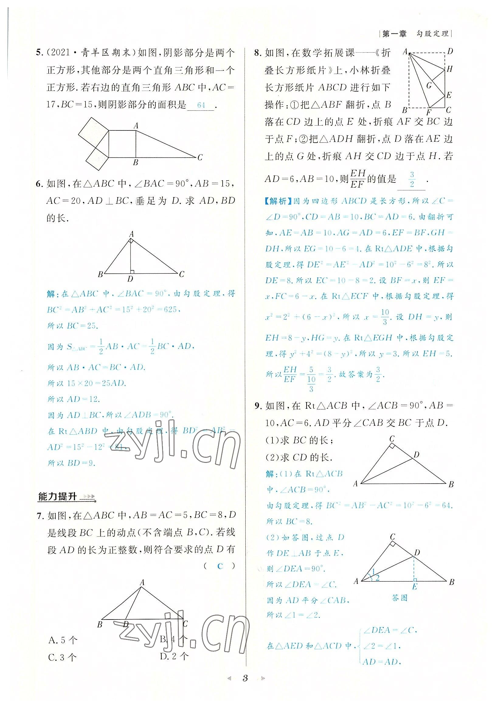 2022年数学一号八年级数学上册北师大版 参考答案第3页