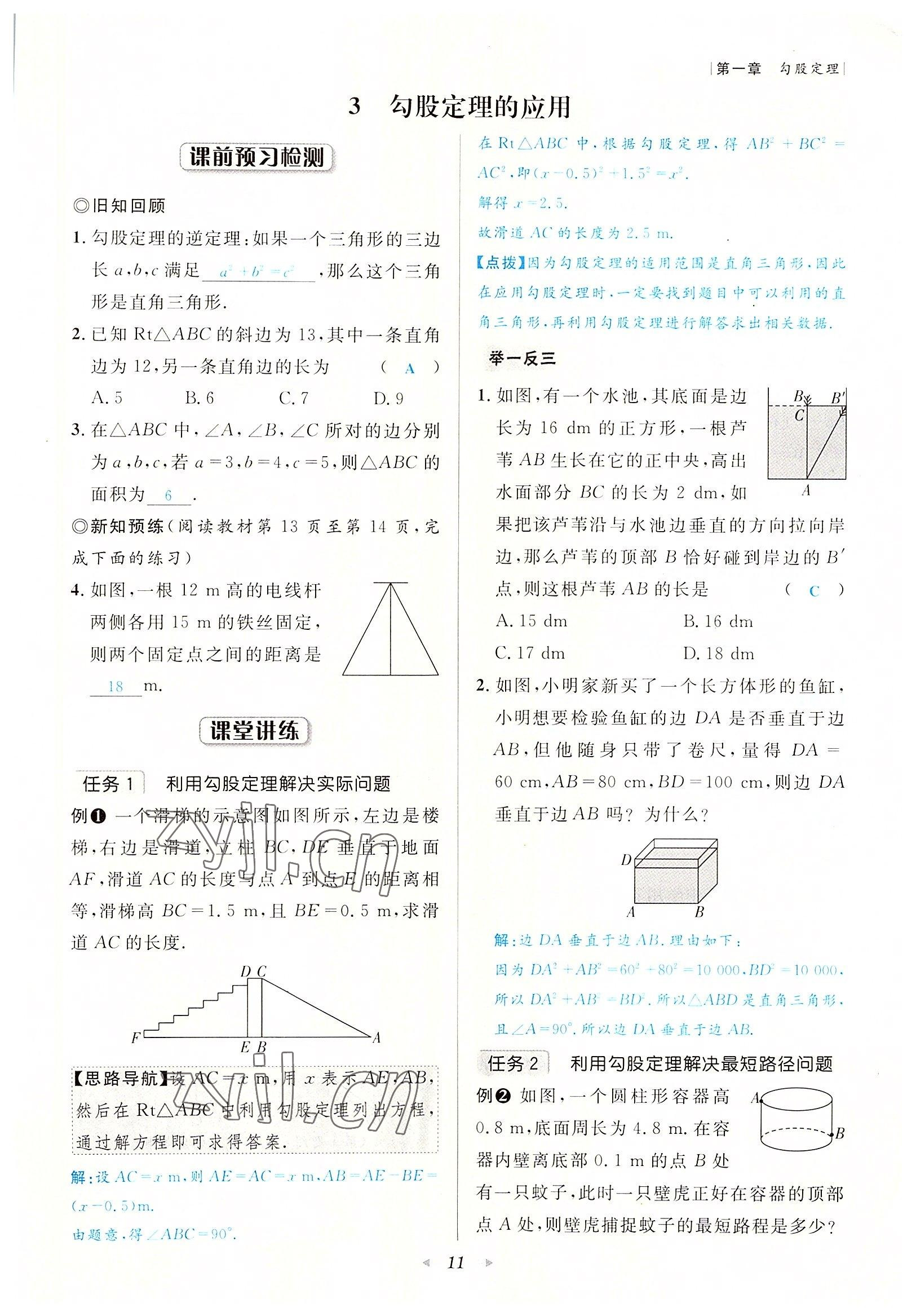 2022年数学一号八年级数学上册北师大版 参考答案第11页