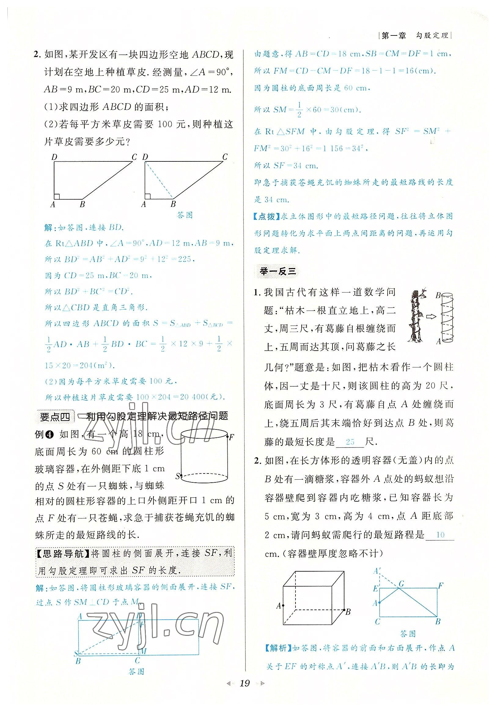 2022年数学一号八年级数学上册北师大版 参考答案第19页