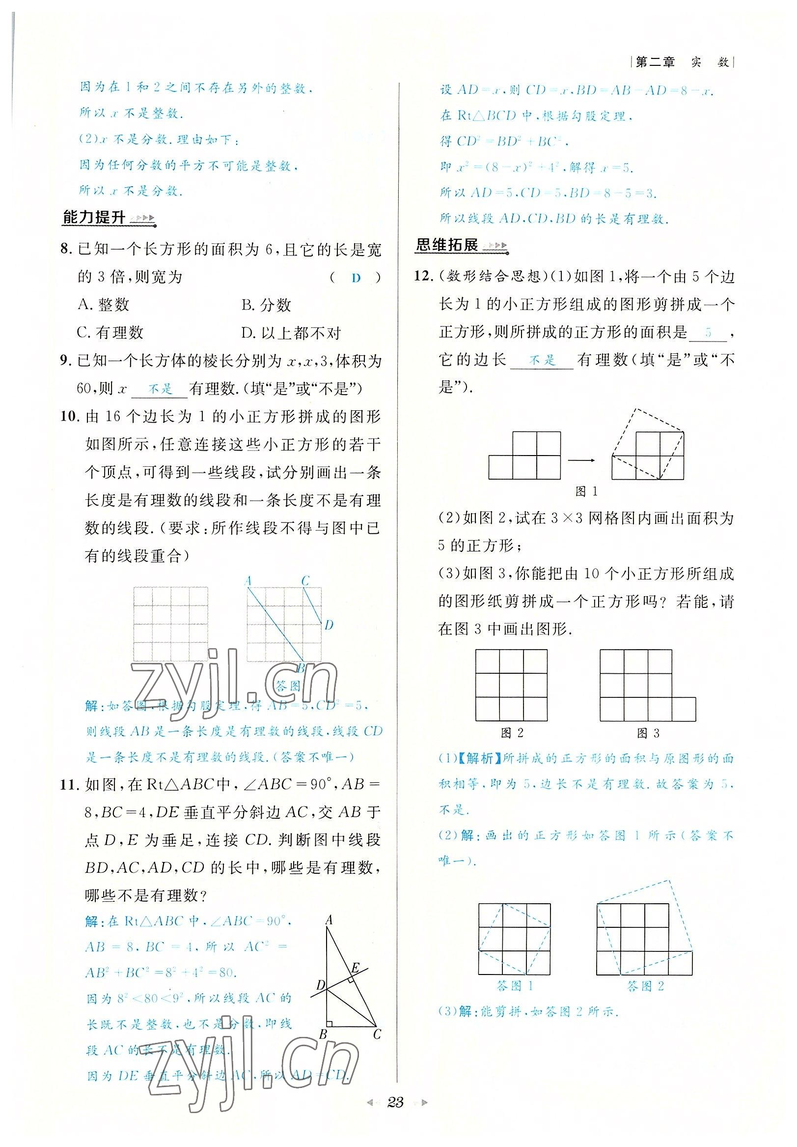 2022年数学一号八年级数学上册北师大版 参考答案第23页