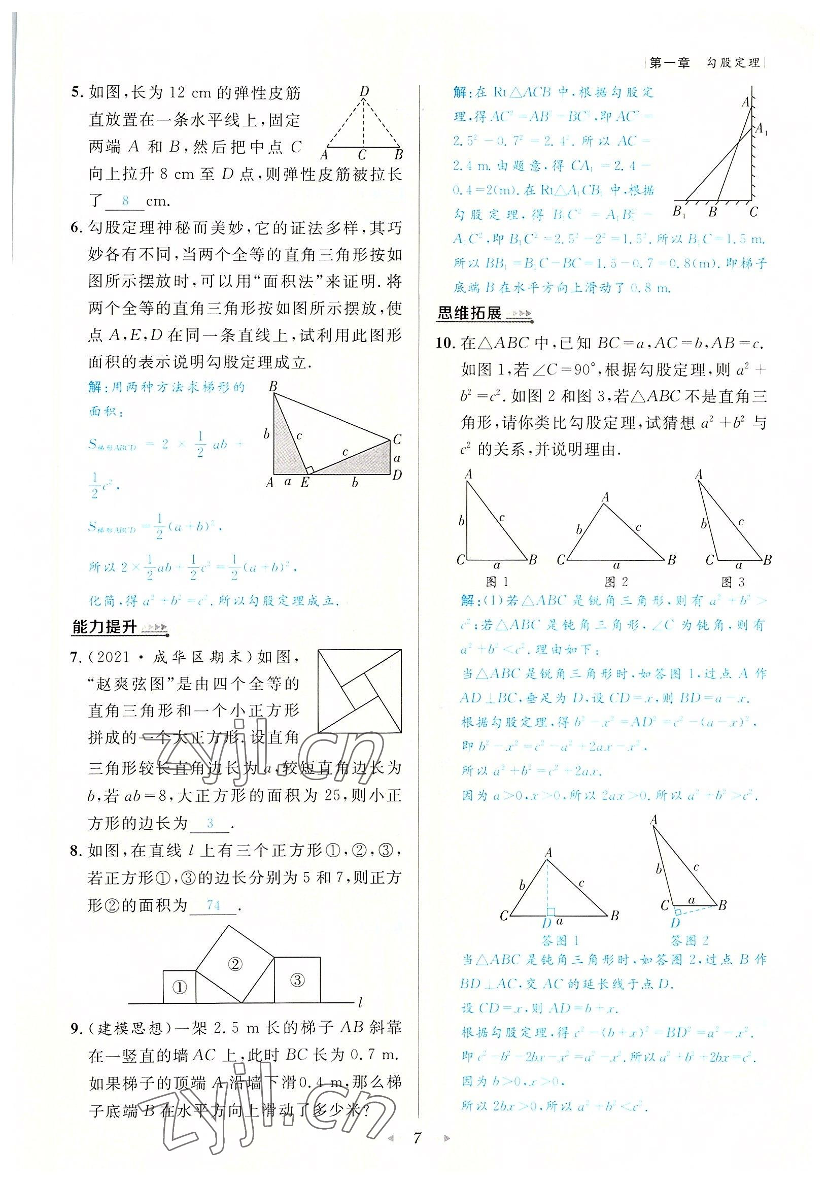 2022年数学一号八年级数学上册北师大版 参考答案第7页