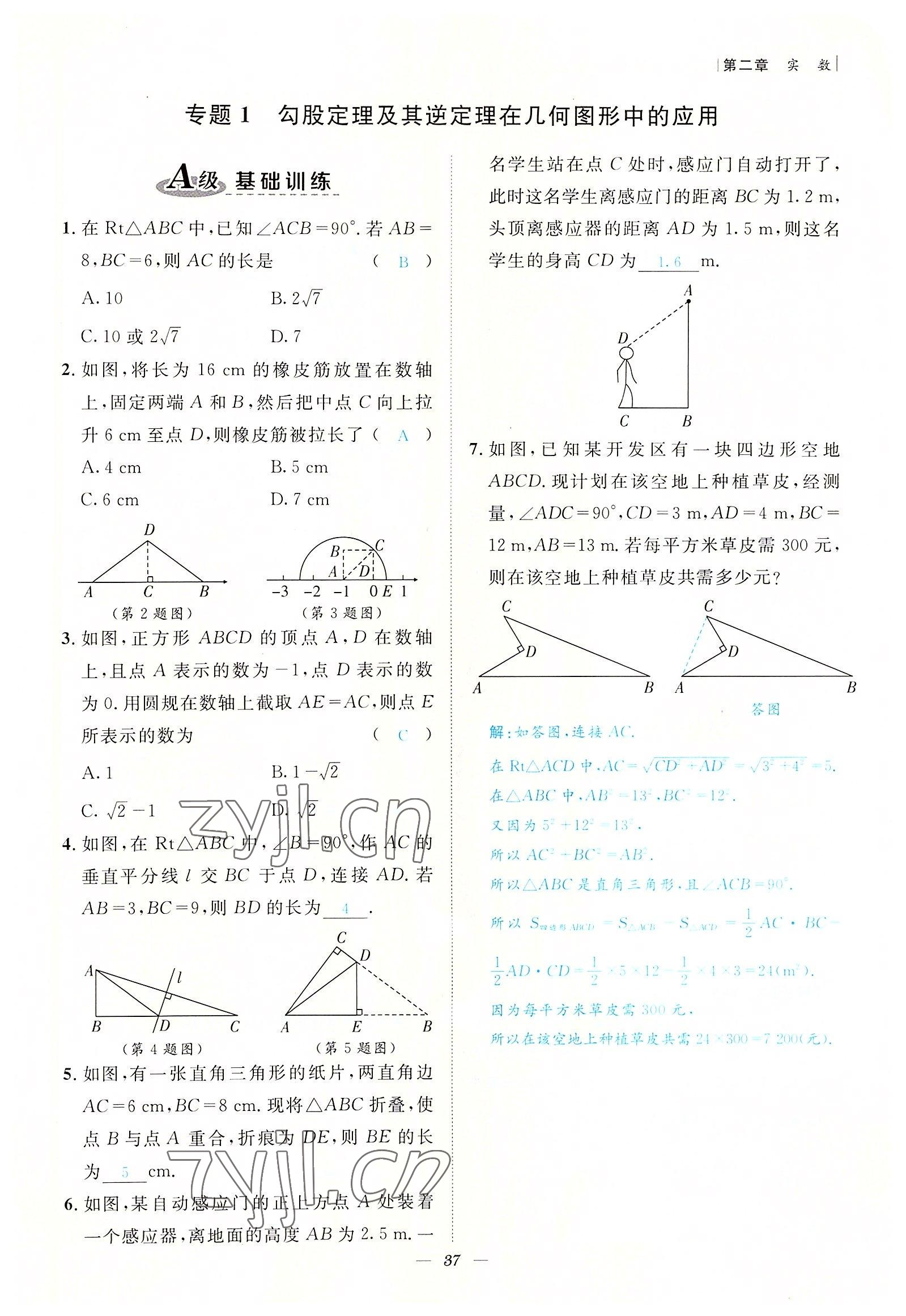 2022年课内达标同步学案初数一号八年级数学上册北师大版 参考答案第37页