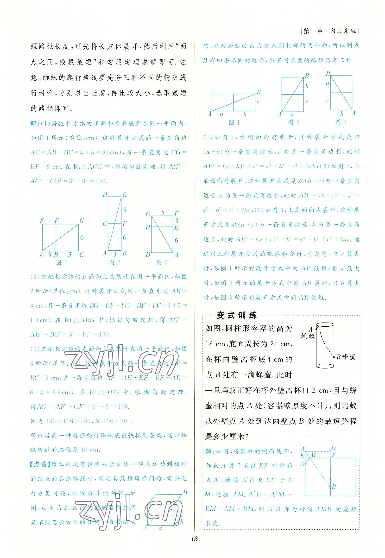 2022年课内达标同步学案初数一号八年级数学上册北师大版 参考答案第13页