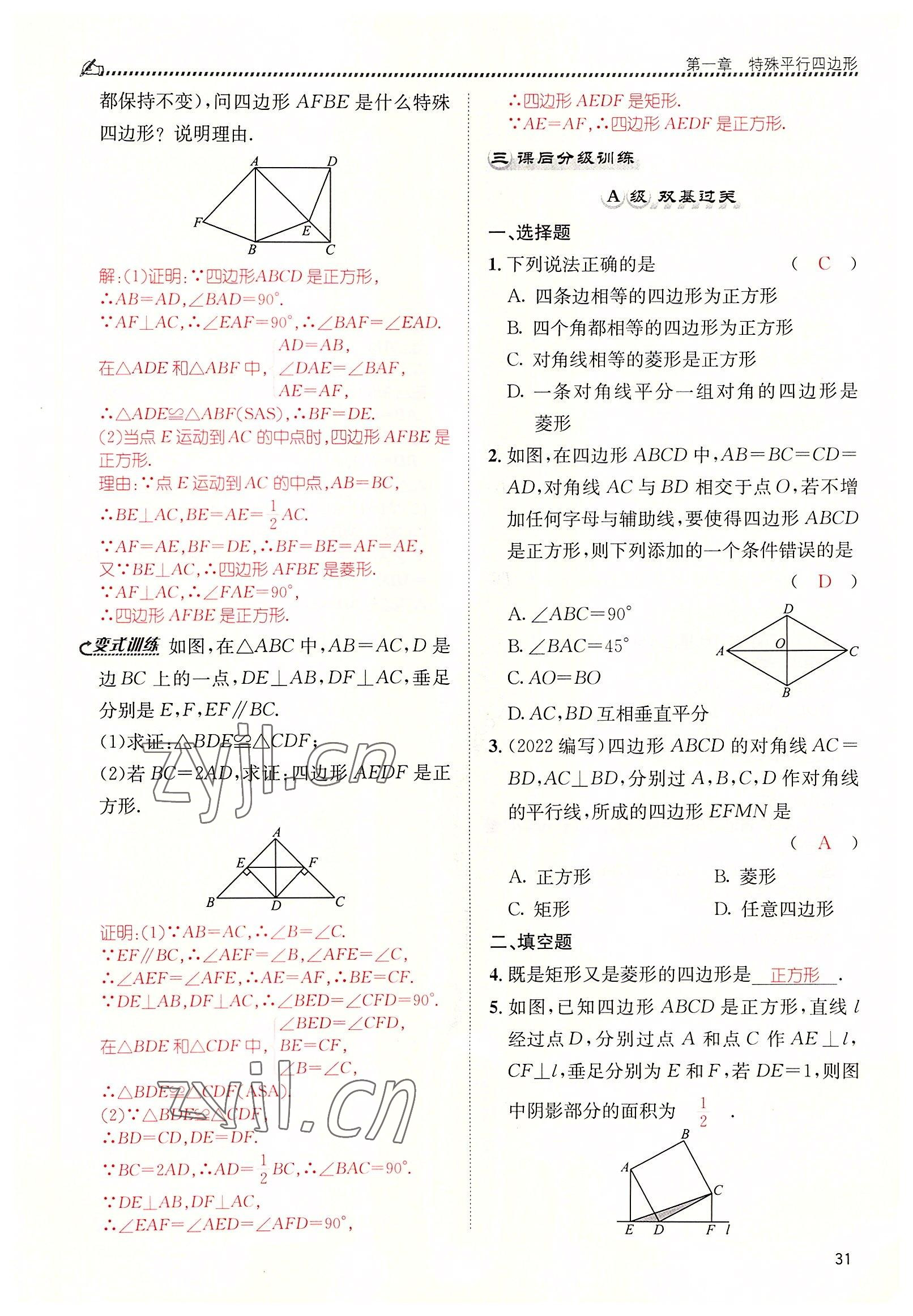 2022年名校课课练九年级数学上册北师大版 参考答案第31页