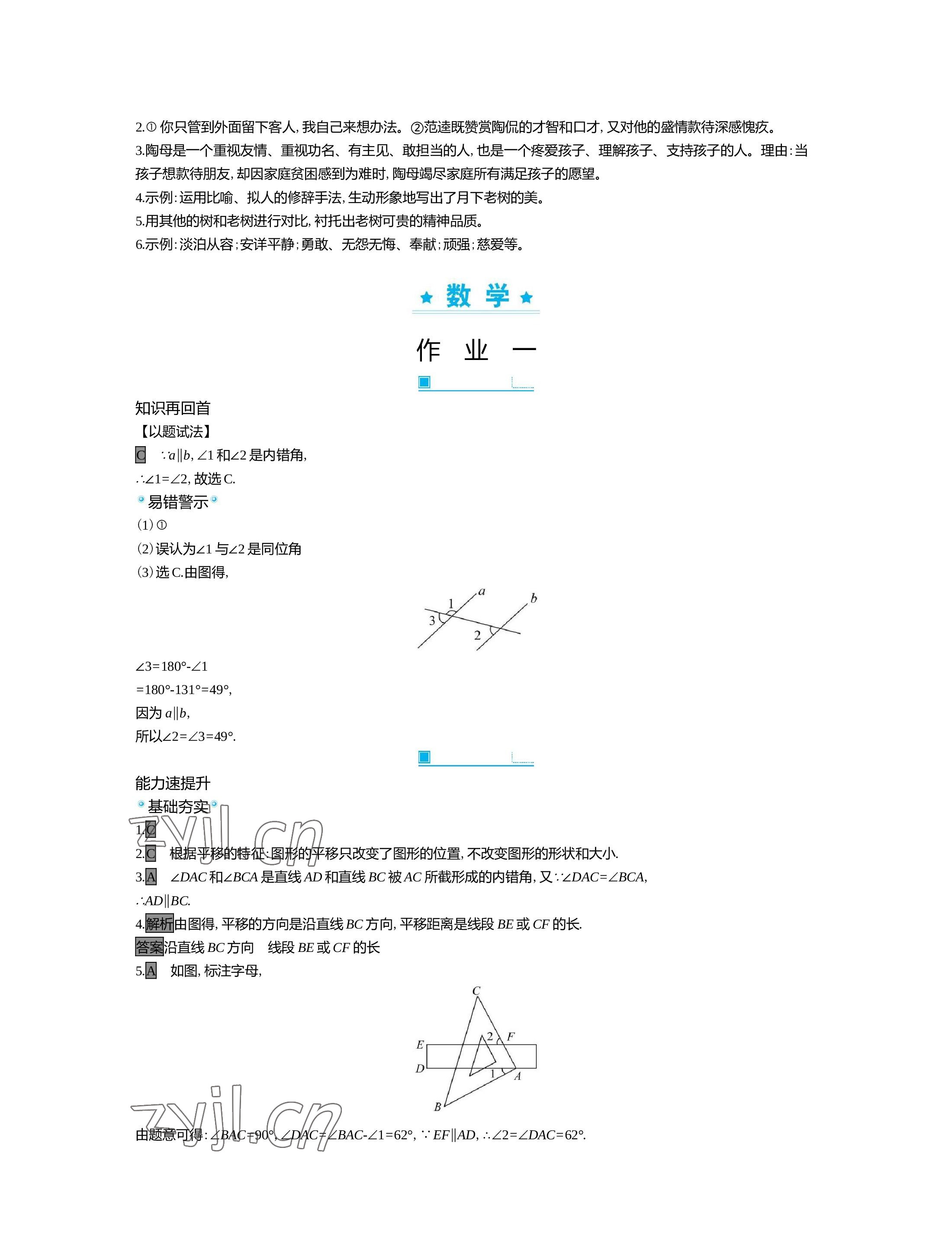 2022年世纪金榜新视野暑假作业七年级 参考答案第9页